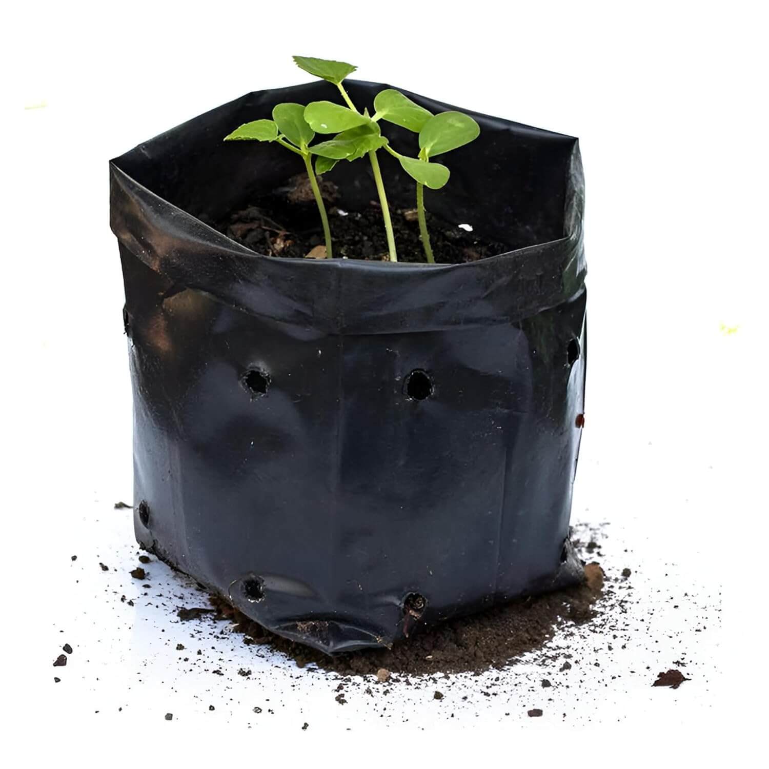 Big Size 18 X 18 inch for Terrace Gardening Large Plants and Tree to Grow Leafy Vegetable and Hybrid Plants and