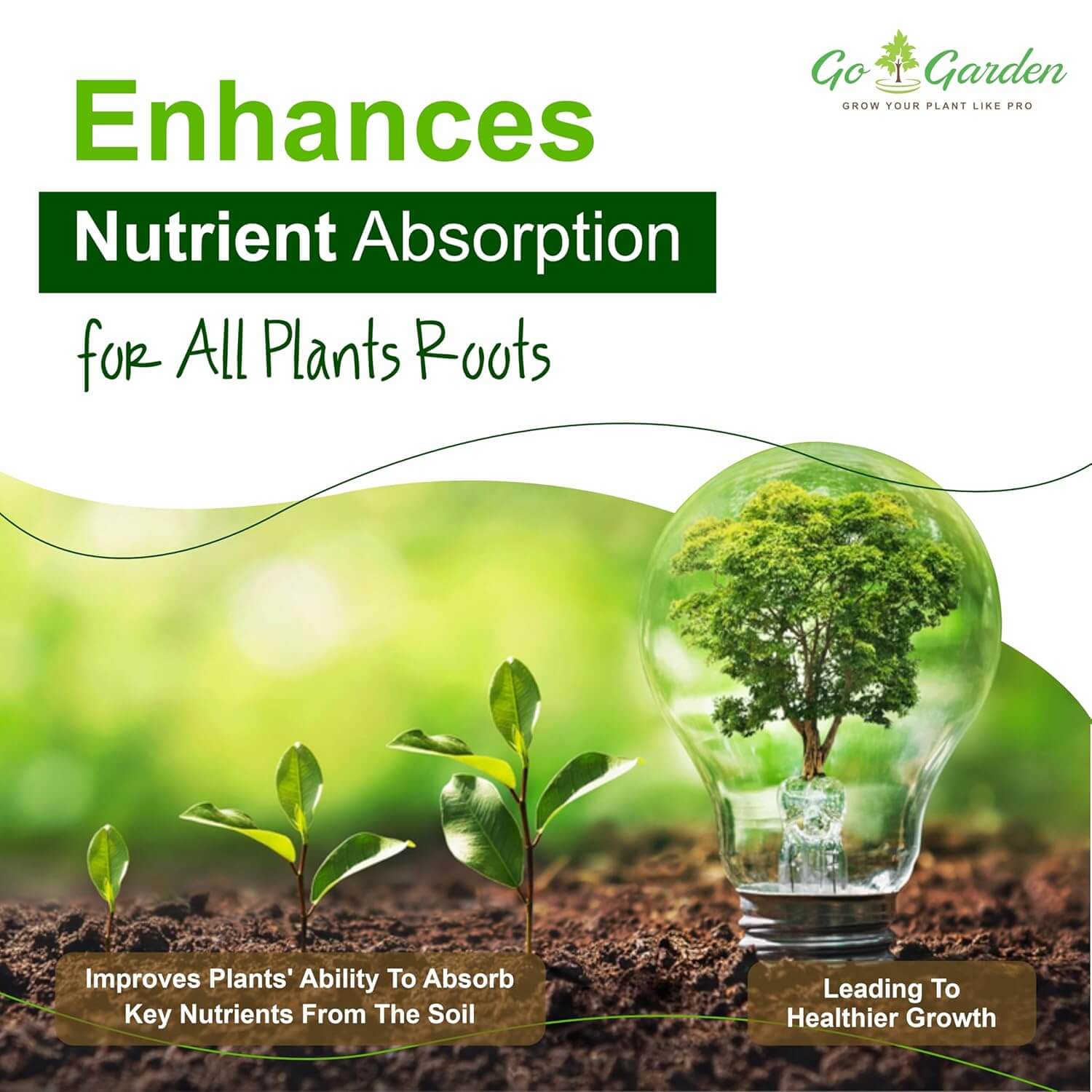 Boron 20% Micronutrient Fertilizer - Boosts Vegetable Growth