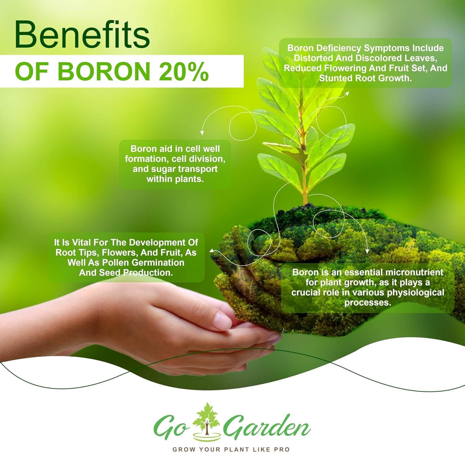 Boron 20% Micronutrient Fertilizer - Boosts Vegetable Growth