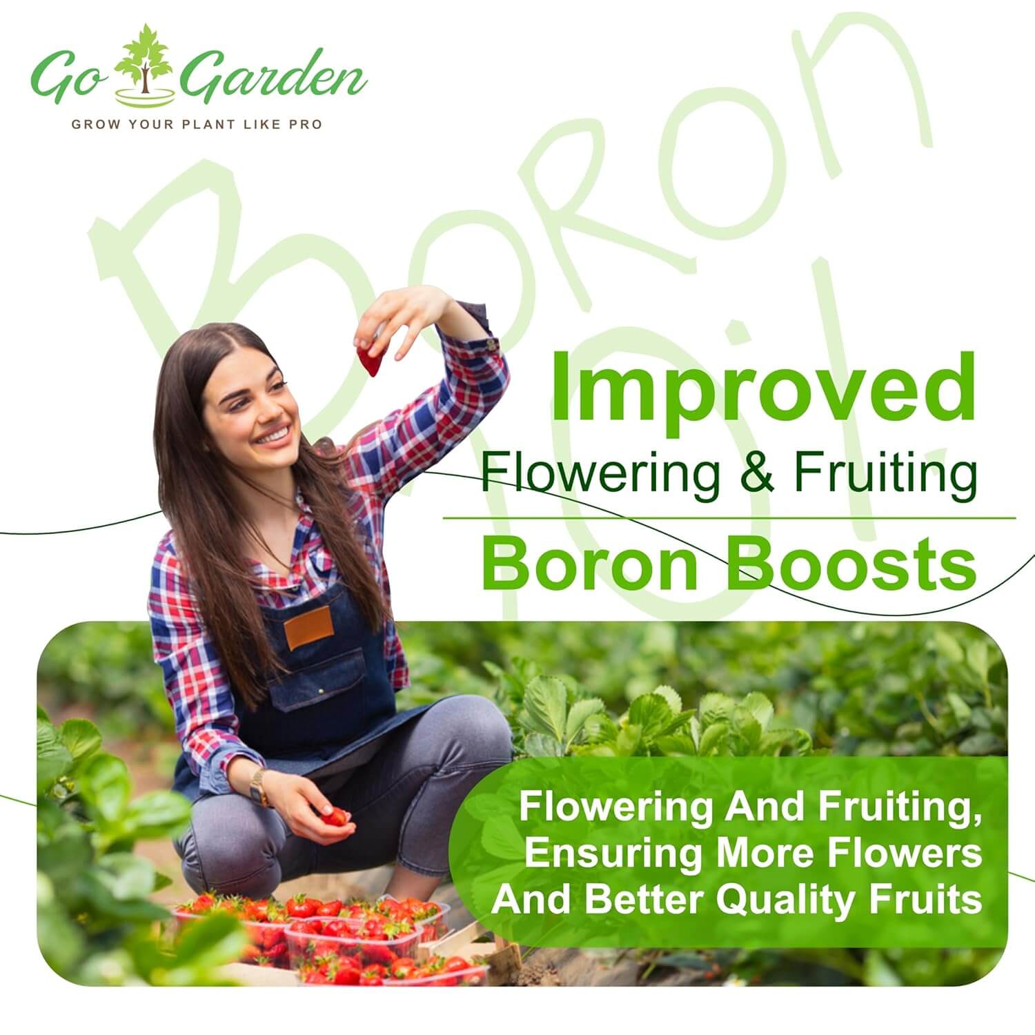 Boron 20% Micronutrient Fertilizer - Boosts Vegetable Growth