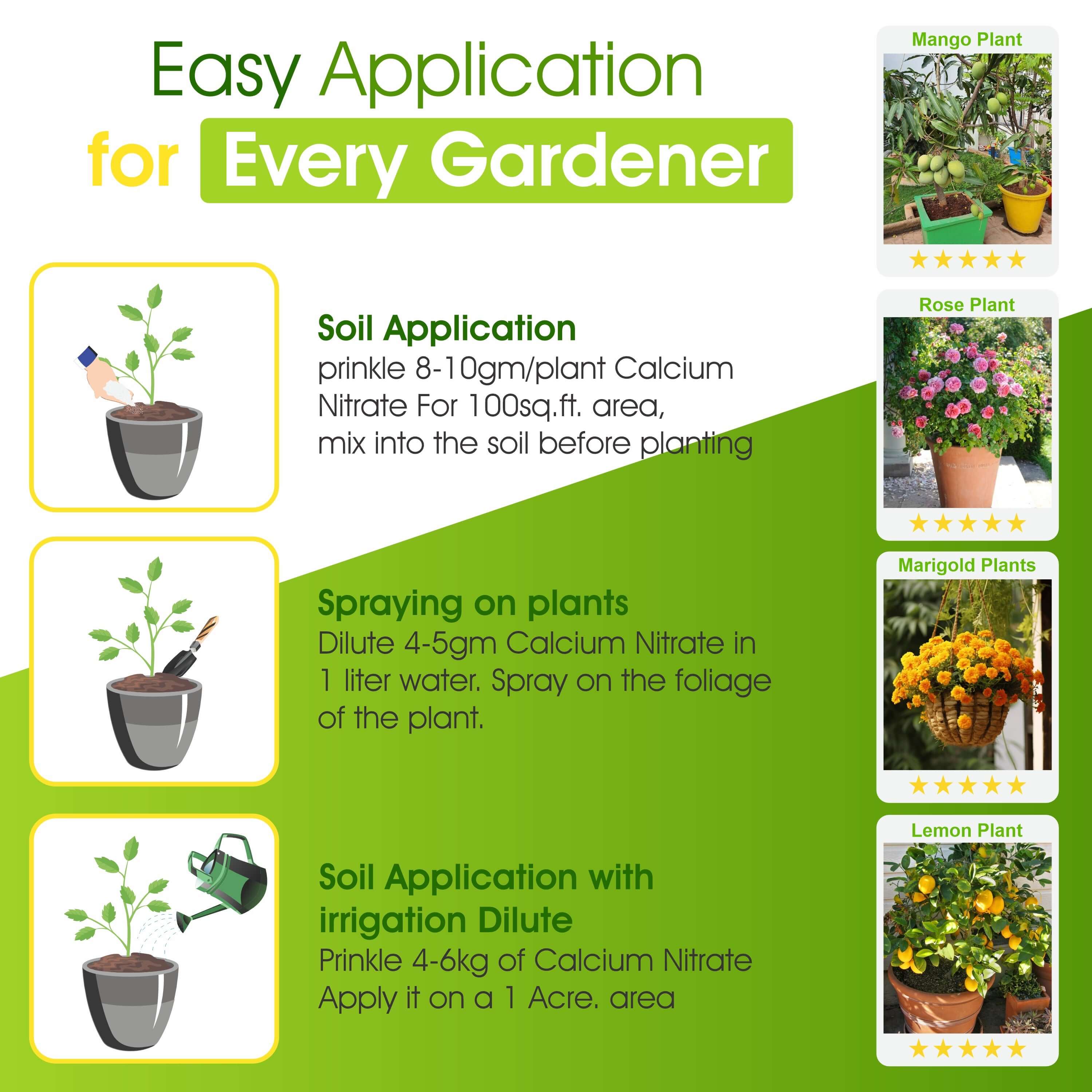 Calcium Nitrate Boost Your Plant's Immunity