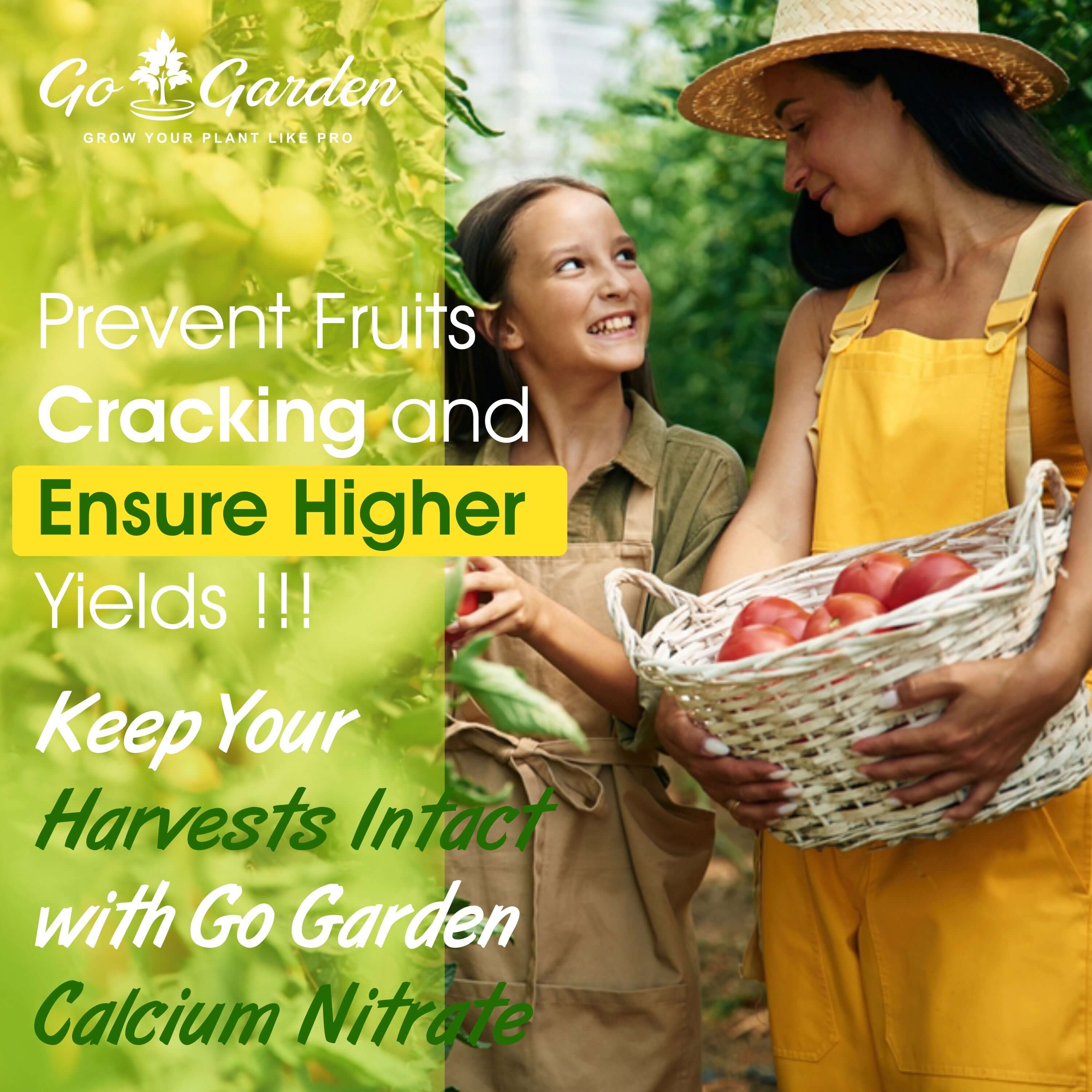 Calcium Nitrate Boost Your Plant's Immunity