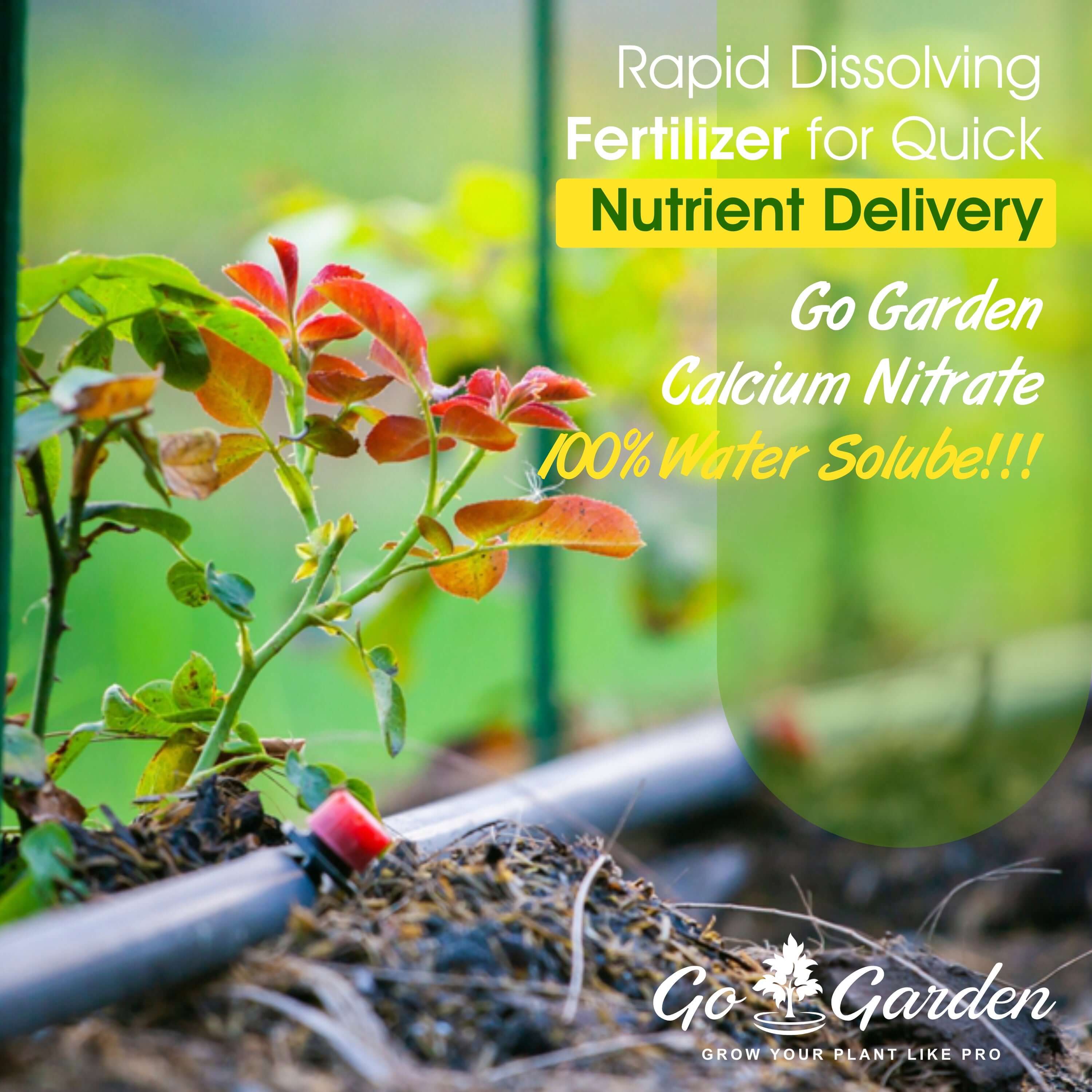 Calcium Nitrate Boost Your Plant's Immunity