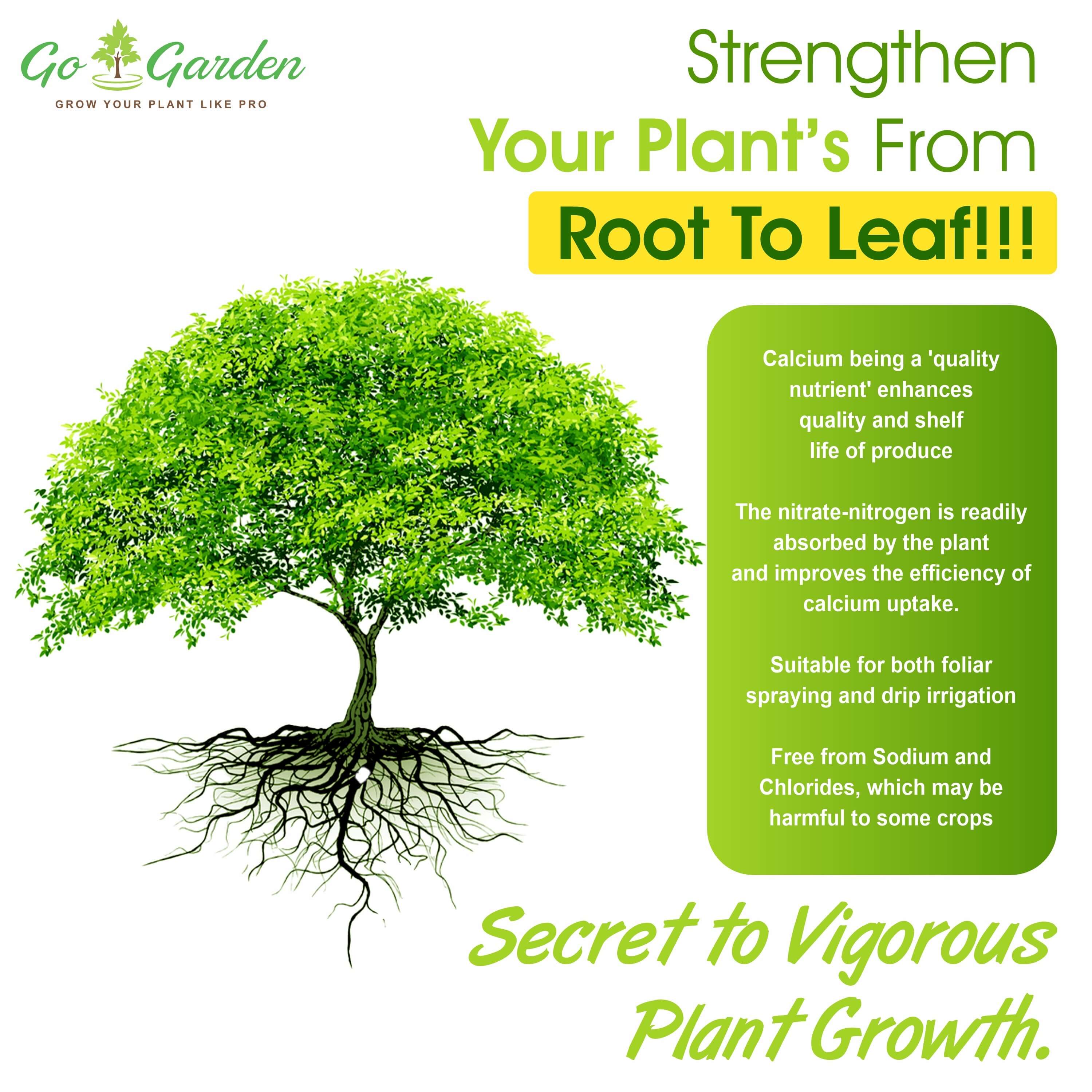 Calcium Nitrate Boost Your Plant's Immunity