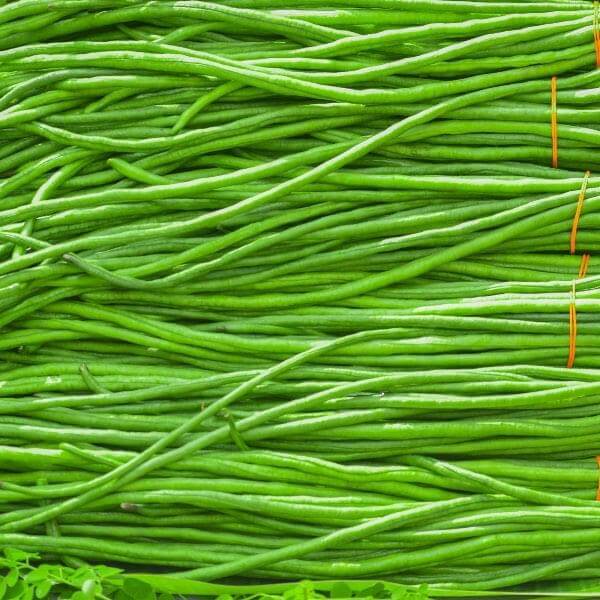 Cowpea Beans/Barbatti Vegetable Seeds (Green, Pack of 25g, 225+ Seeds)