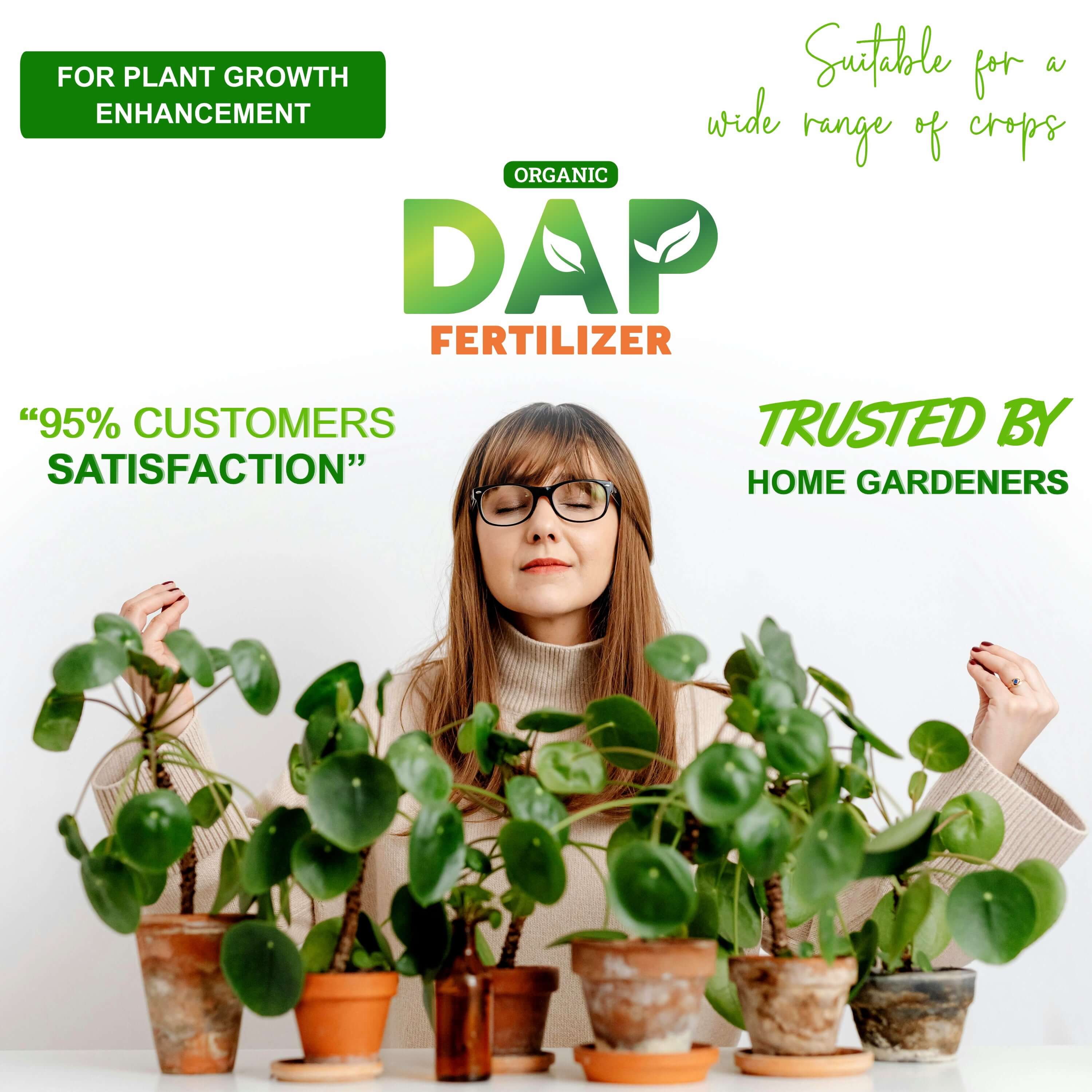 DAP Fertilizers Grow Stronger Stems 