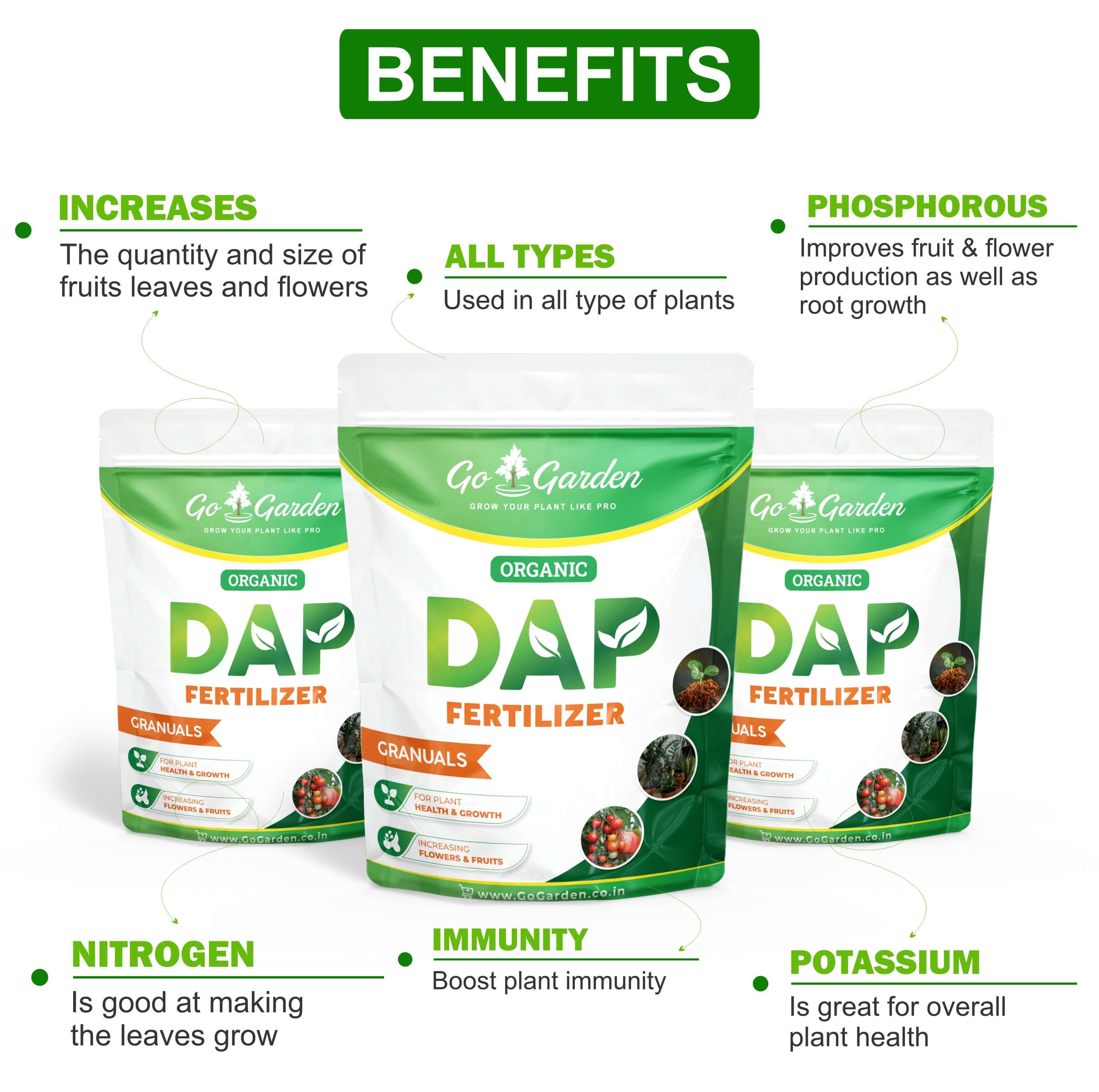 DAP Fertilizers Grow Stronger Stems 