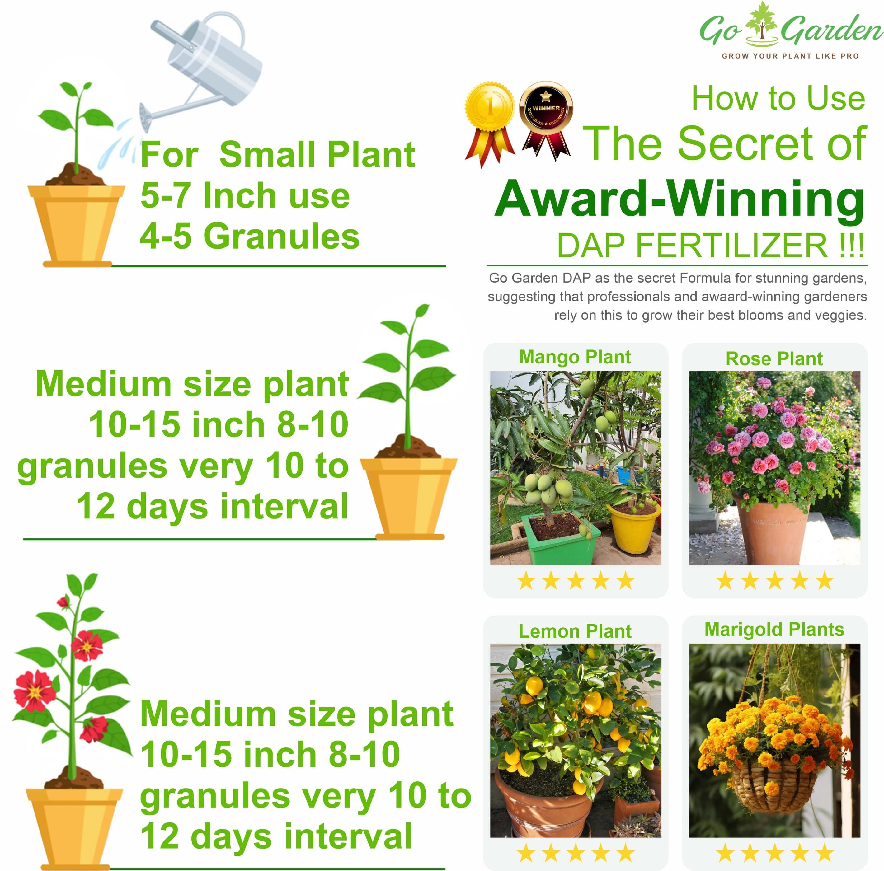 DAP Fertilizers Grow Stronger Stems 