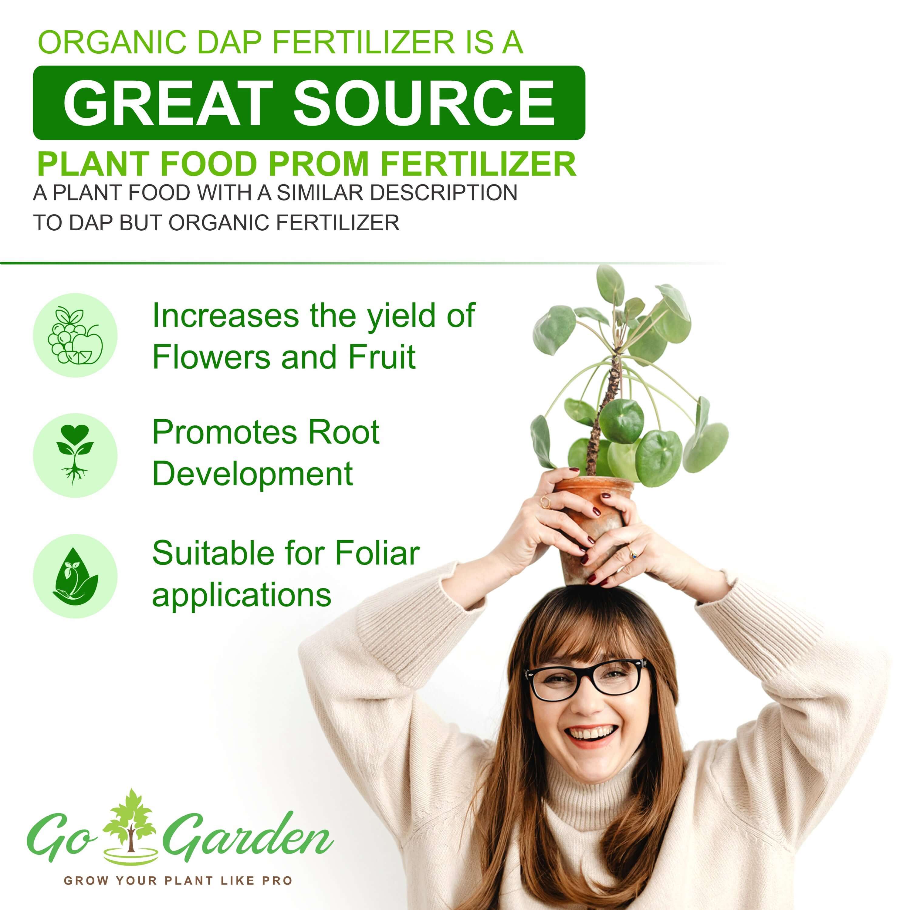 dap fertilizer benefits for plants DAP fertilizer for plants and Gardening - All Purpose