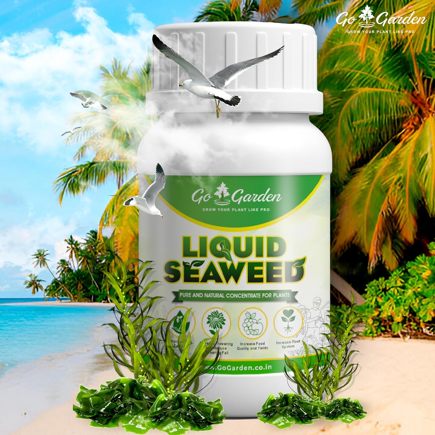 Seaweed Fertilizer for Plants Liquid Concentrate 100% Organic Fertilizer for Plant and Garden Purpose