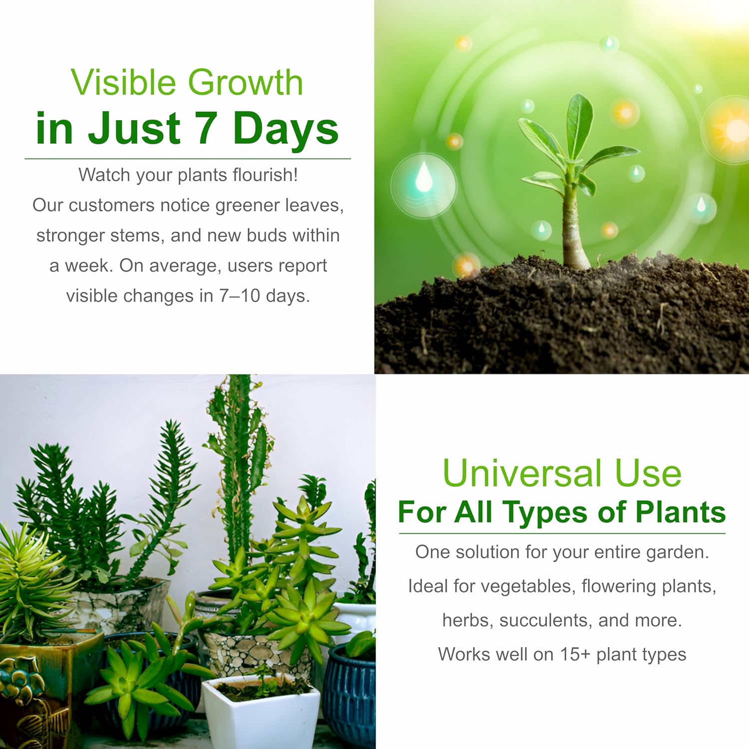 Organic Plant Boost Liquid Biofertilizer (3 x 50ml) | Fast Growth & Root Booster for All Plants | 100% Organic Fertilizer