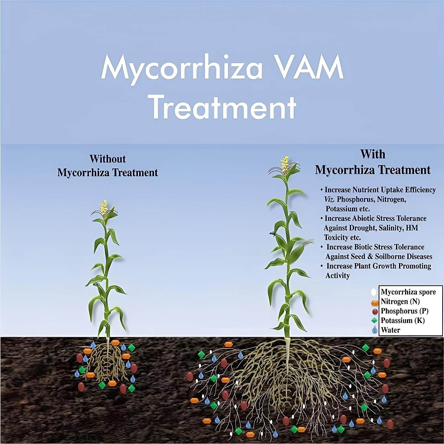 Go Garden Root Care VAM Mycorrhiza Advanced Organic Plant Fertilizer and Root Growth Enhancer 900 G