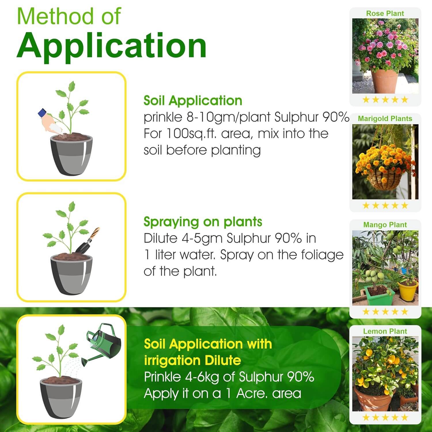 Go Garden Sulphur 90% WG Micronutrient Fertilizer 900G