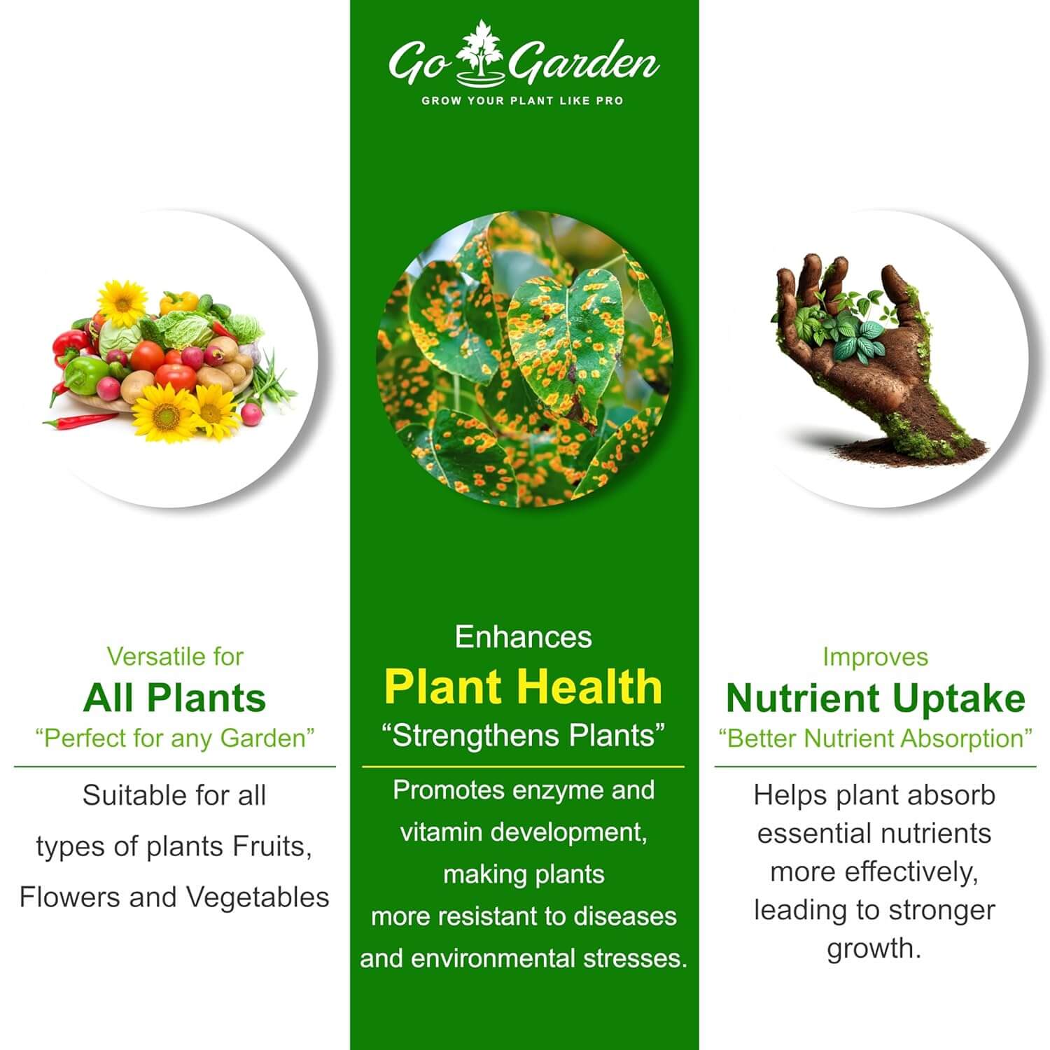 Go Garden Sulphur 90% WG Micronutrient Fertilizer 900G