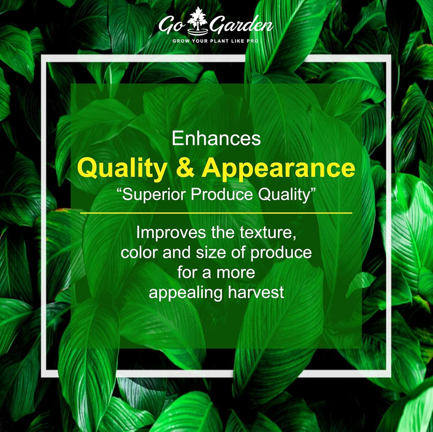 Go Garden Sulphur 90% WG Micronutrient Fertilizer 900G