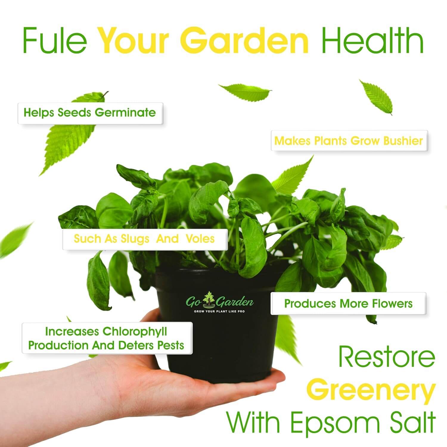 Epsom Salt – Magnesium Sulfate Fertilizer for Plant Growth