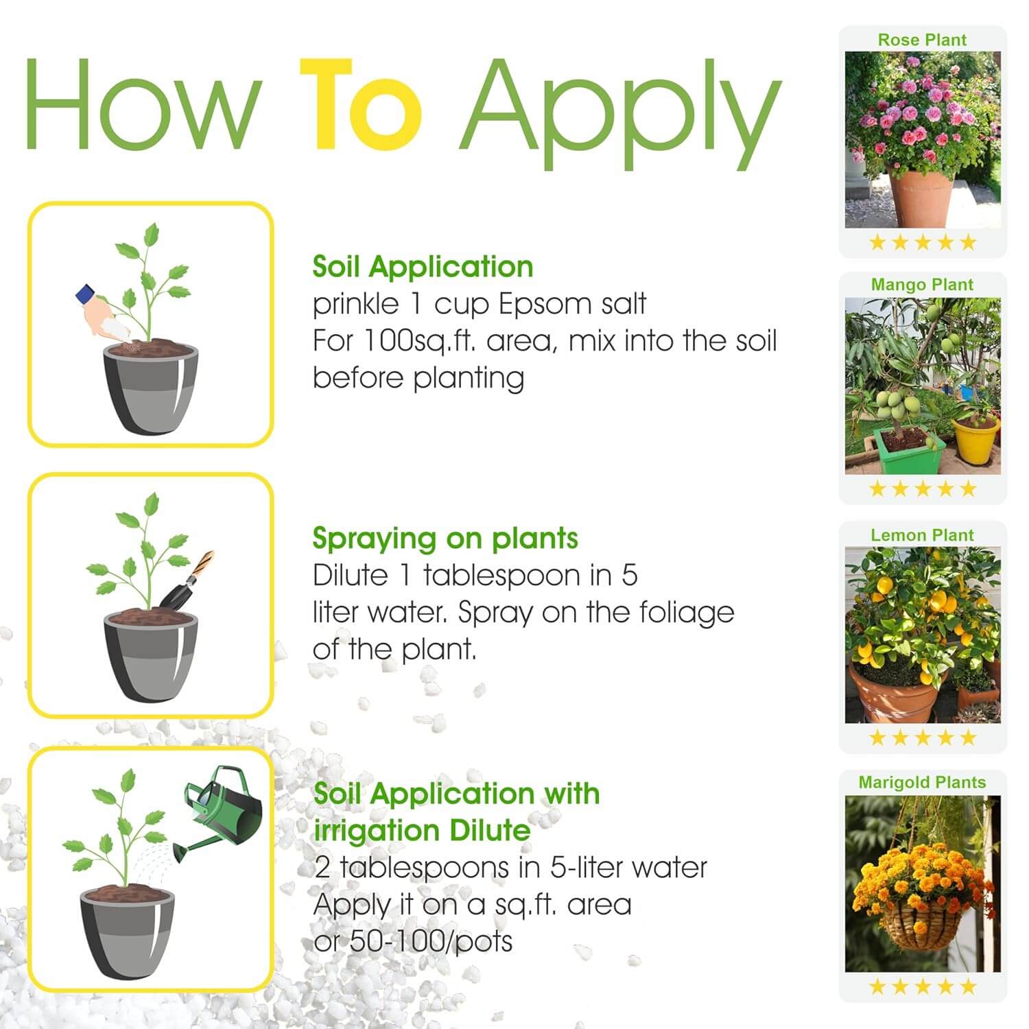 Epsom Salt – Magnesium Sulfate Fertilizer for Plant Growth