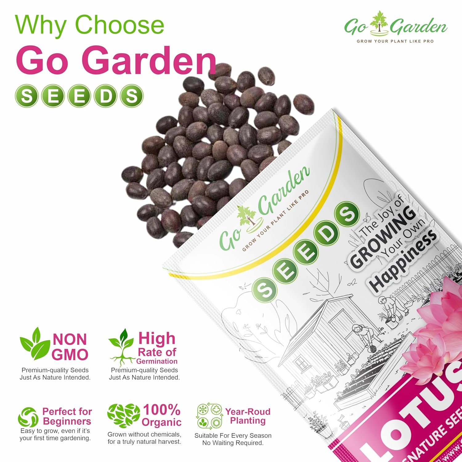 Lotus Seed for Planting - Pack of 20 Seed | High-Germination Lotus Seeds for Water Gardening, Home Garden, Ponds, and Outdoor Decor