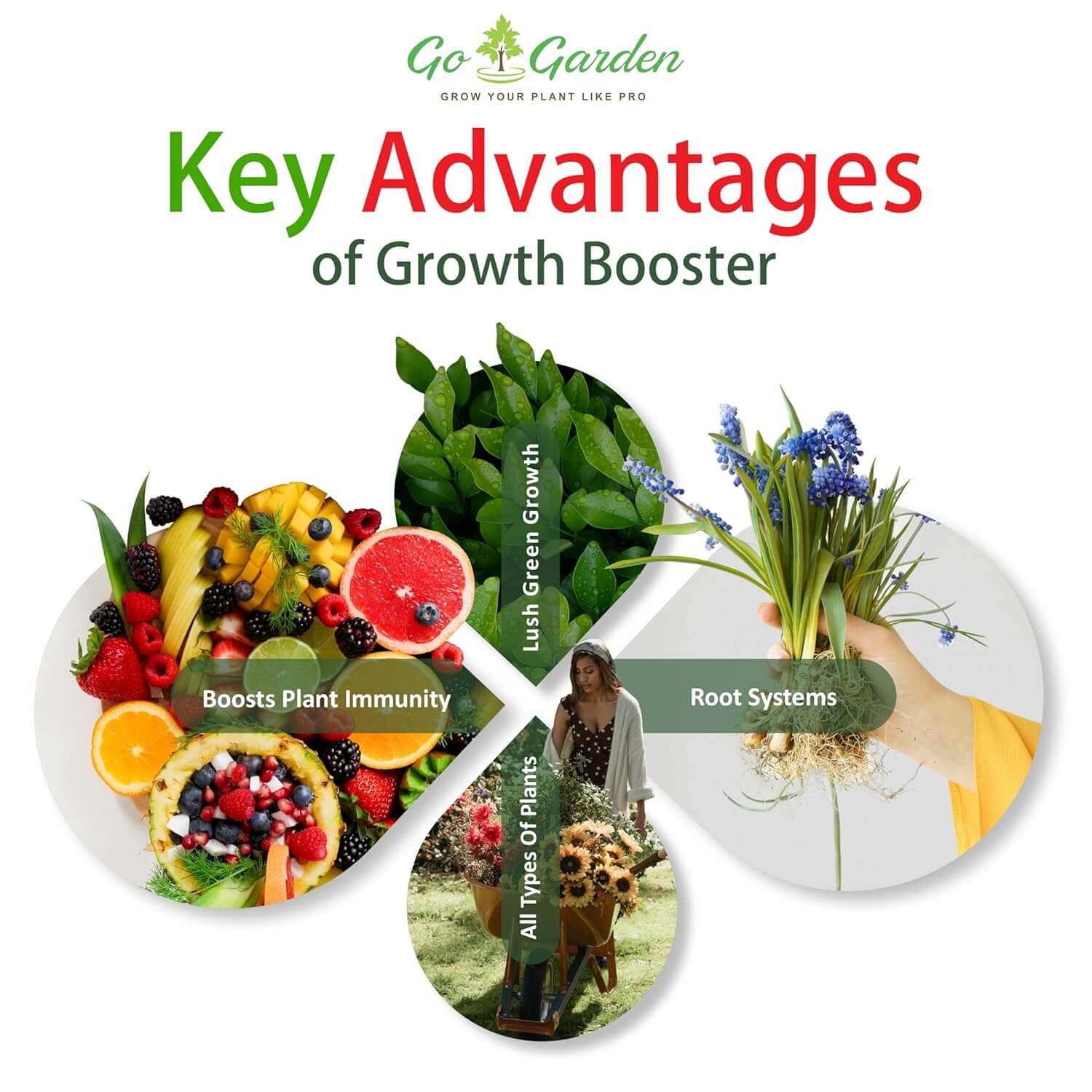 Go Garden Growth Boost Liquid Fertilizer: Enhance Plant Growth and Flowering | Home Garden Growth Booster for All Types of Plants