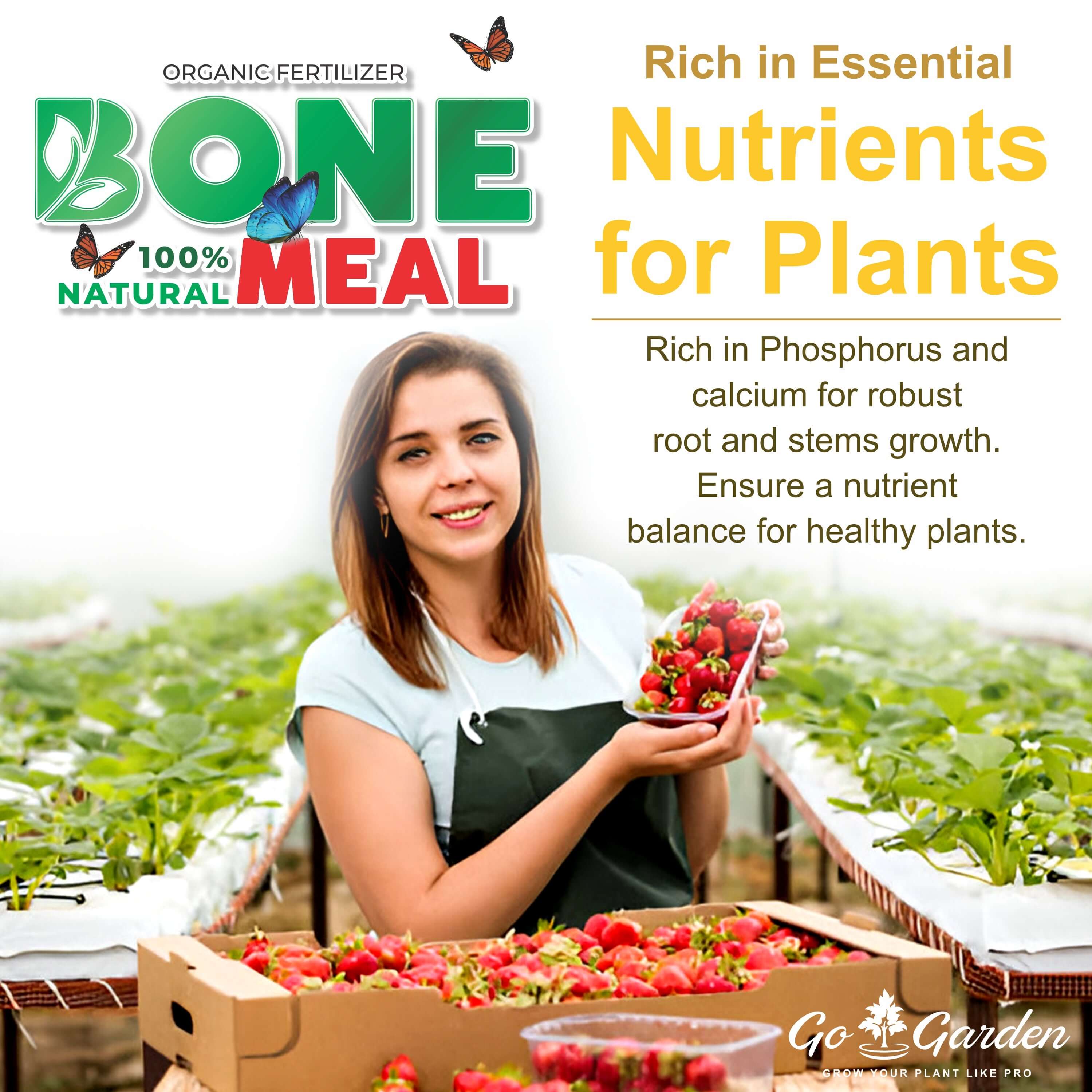 Organic Bone Meal Fertilizer for Plants 950 Grams