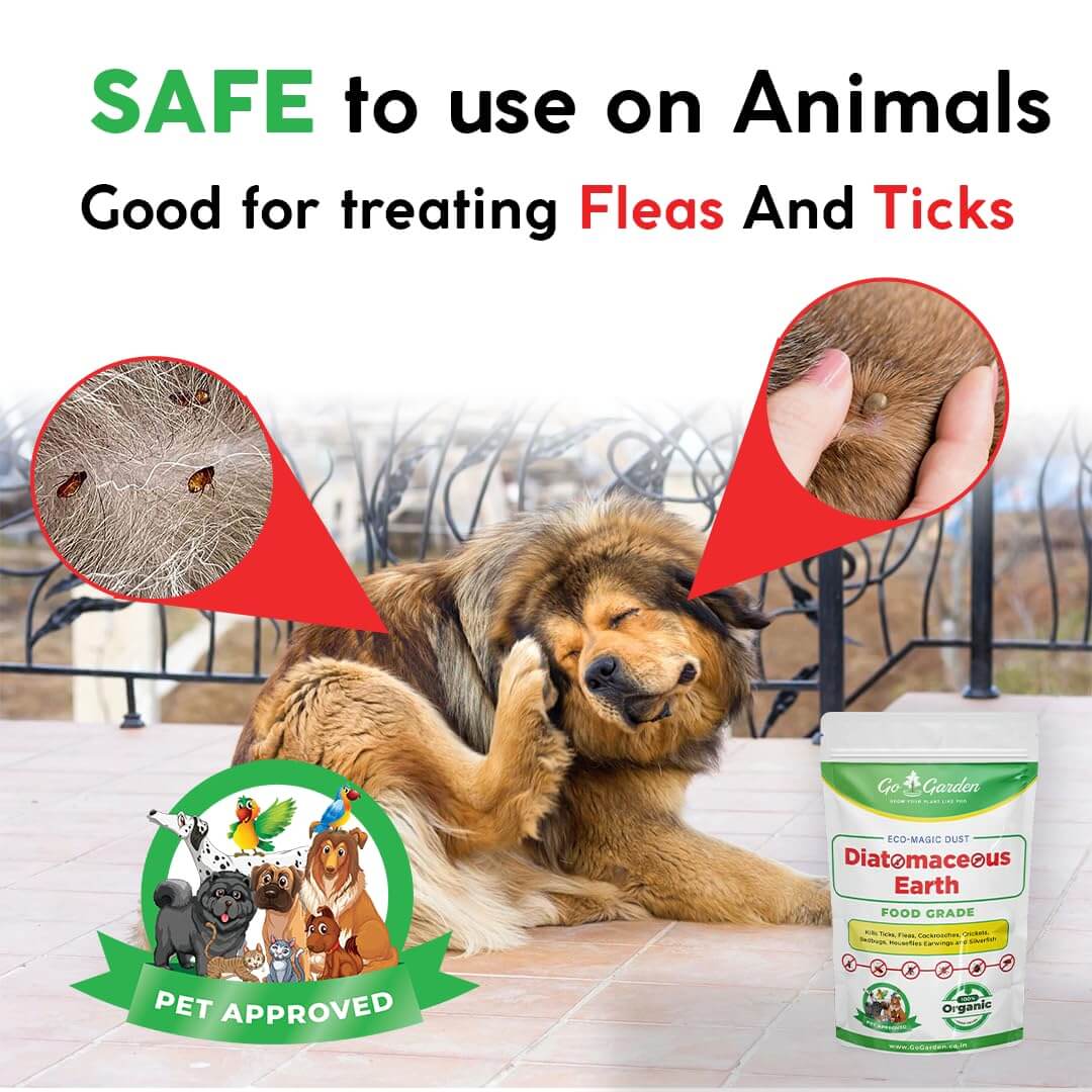 Go Garden Diatomaceous Earth Powder | Organic Pest Control | Cockroach Killer, Ant Repellent, and Flea Control for Dogs 900G