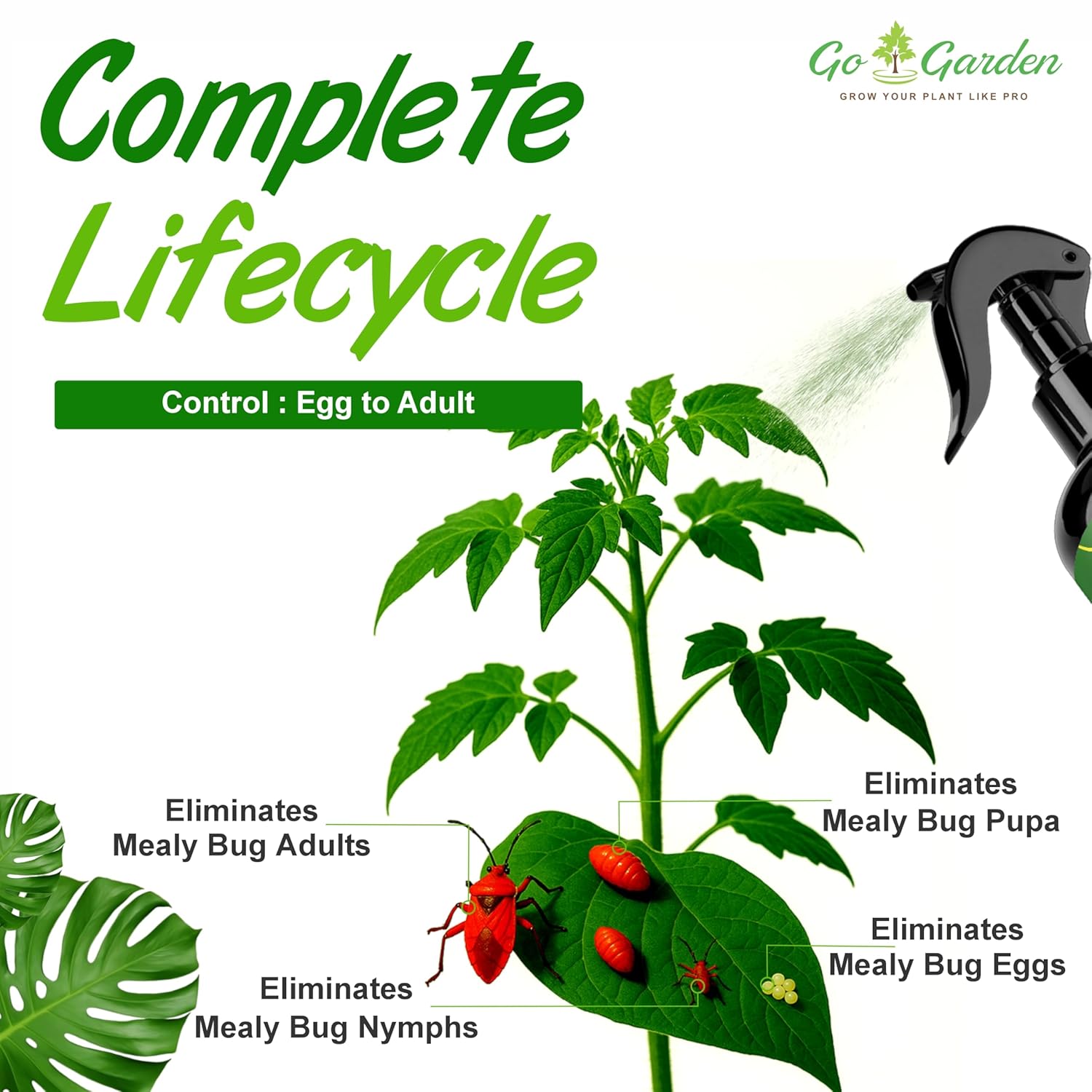 Mealy Bug Plant Protection Spray – 200ml | 100% Natural Neem & Essential Oil Formula | Kills Mealy Bugs Fast | Ready to Use