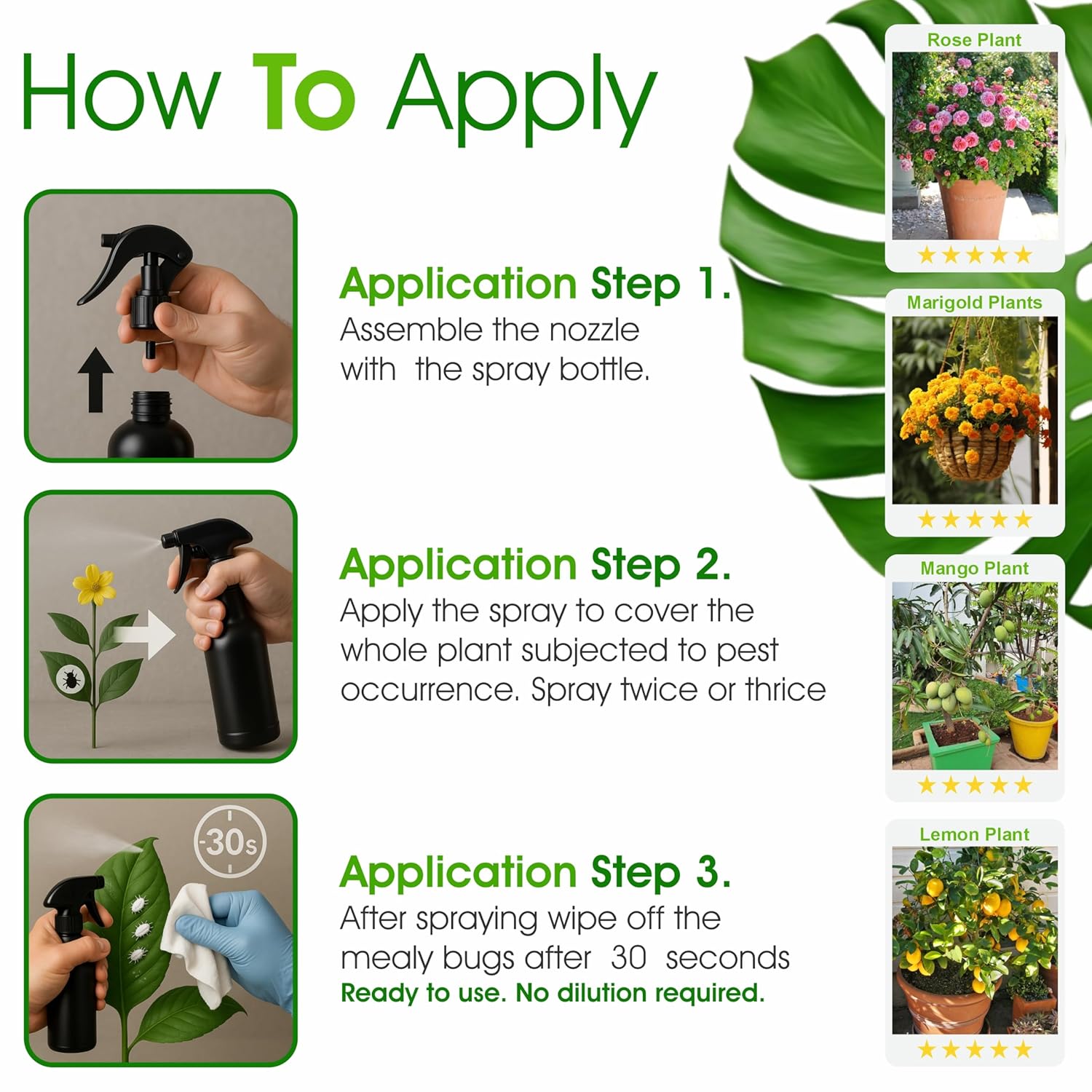 Mealy Bug Plant Protection Spray – 200ml | 100% Natural Neem & Essential Oil Formula | Kills Mealy Bugs Fast | Ready to Use