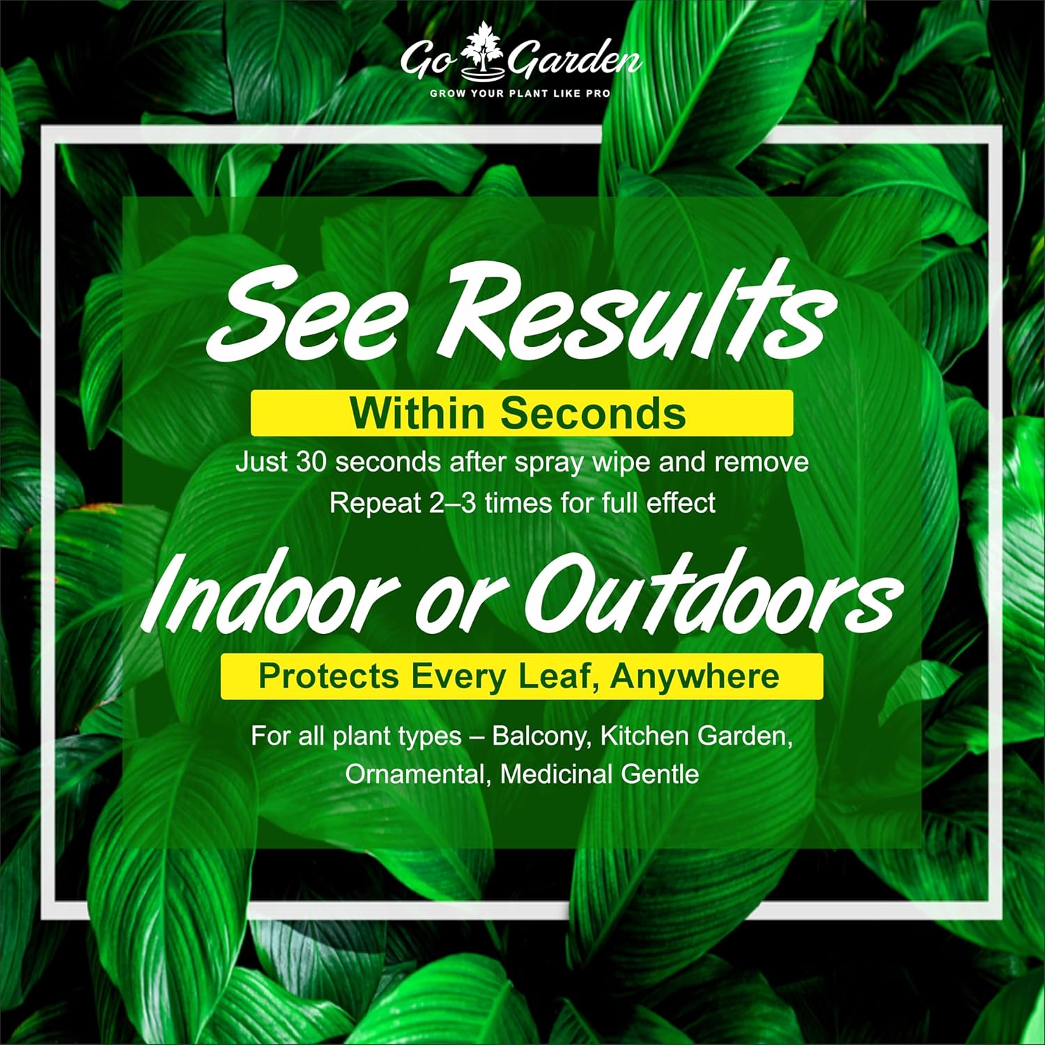 Mealy Bug Plant Protection Spray – 200ml | 100% Natural Neem & Essential Oil Formula | Kills Mealy Bugs Fast | Ready to Use