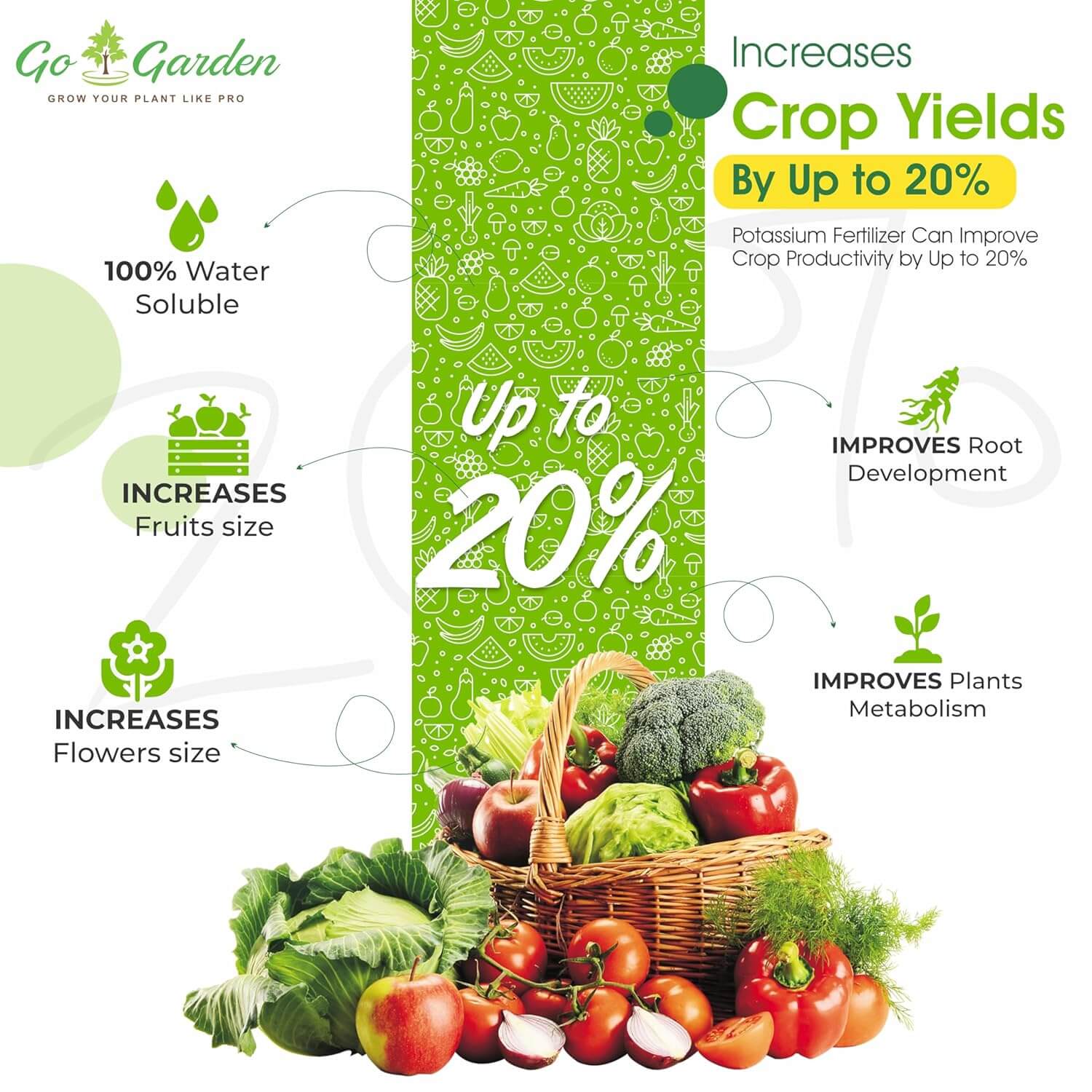 Muriate of Potash Fertilizer | MOP Fertilizer | All Purpose for Plant Health, Flower Fruit Plant Growth NPK (0:0:60) 450 Gram