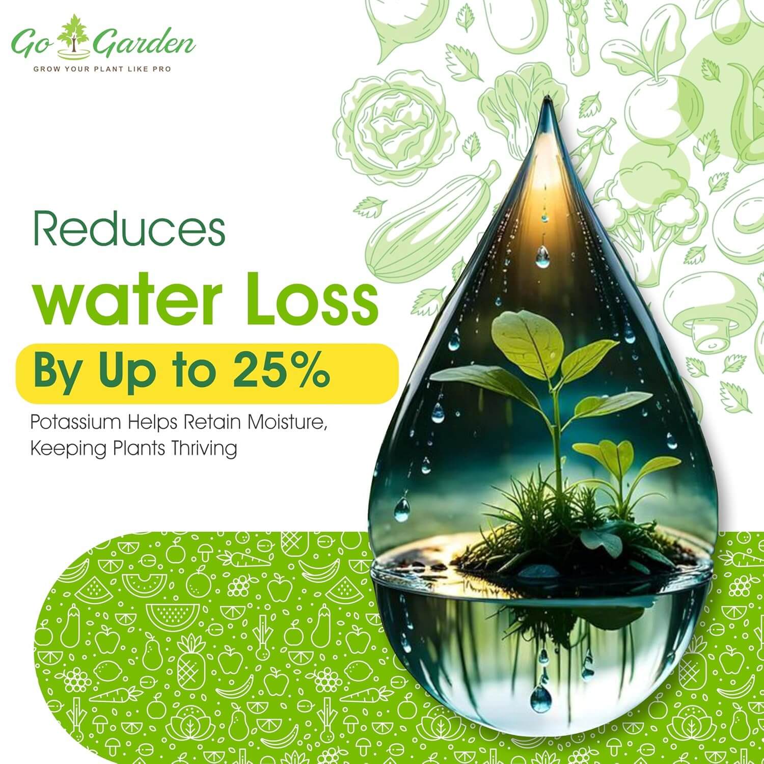 Muriate of Potash Fertilizer | MOP Fertilizer | All Purpose for Plant Health, Flower Fruit Plant Growth NPK (0:0:60) 450 Gram