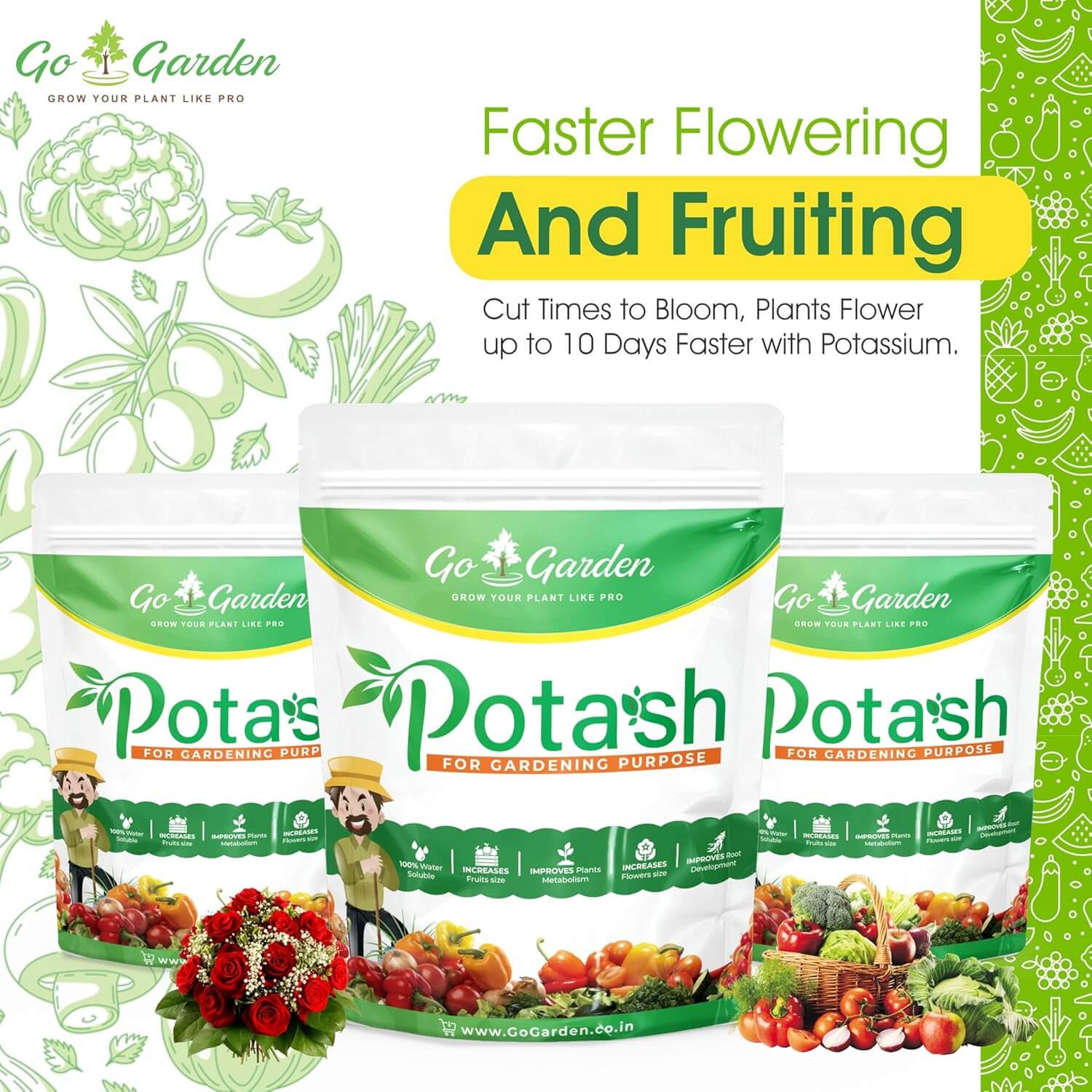 Muriate of Potash Fertilizer | MOP Fertilizer | All Purpose for Plant Health, Flower Fruit Plant Growth NPK (0:0:60) 450 Gram