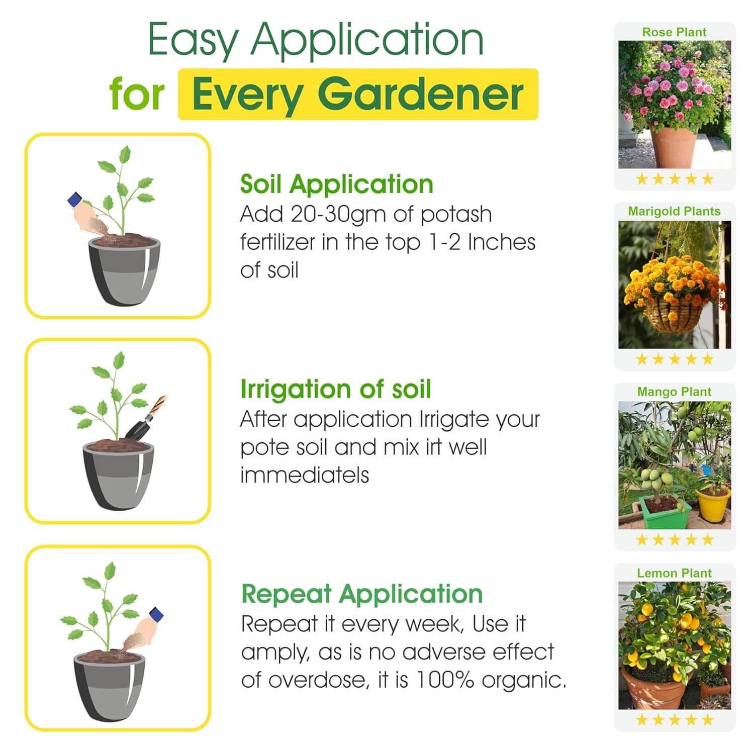 Muriate of Potash Fertilizer | MOP Fertilizer | All Purpose for Plant Health, Flower Fruit Plant Growth NPK (0:0:60) 450 Gram