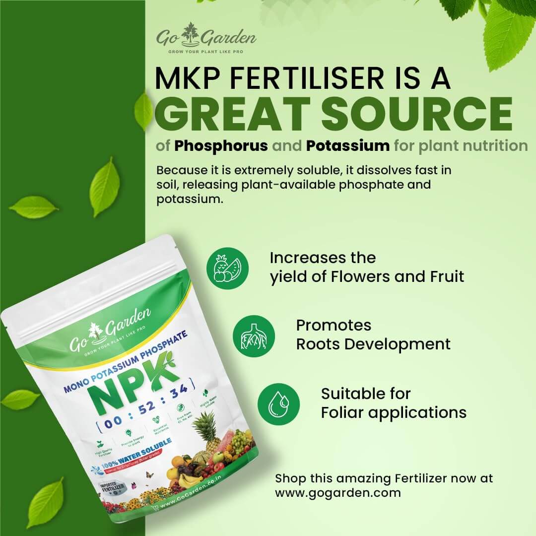 MKP (Mono Potassium Phosphate) NPK 00 : 52 : 34 Fertilizers for Plants, Garden & All Crops | Water Soluble Foliar Spray Nutrition