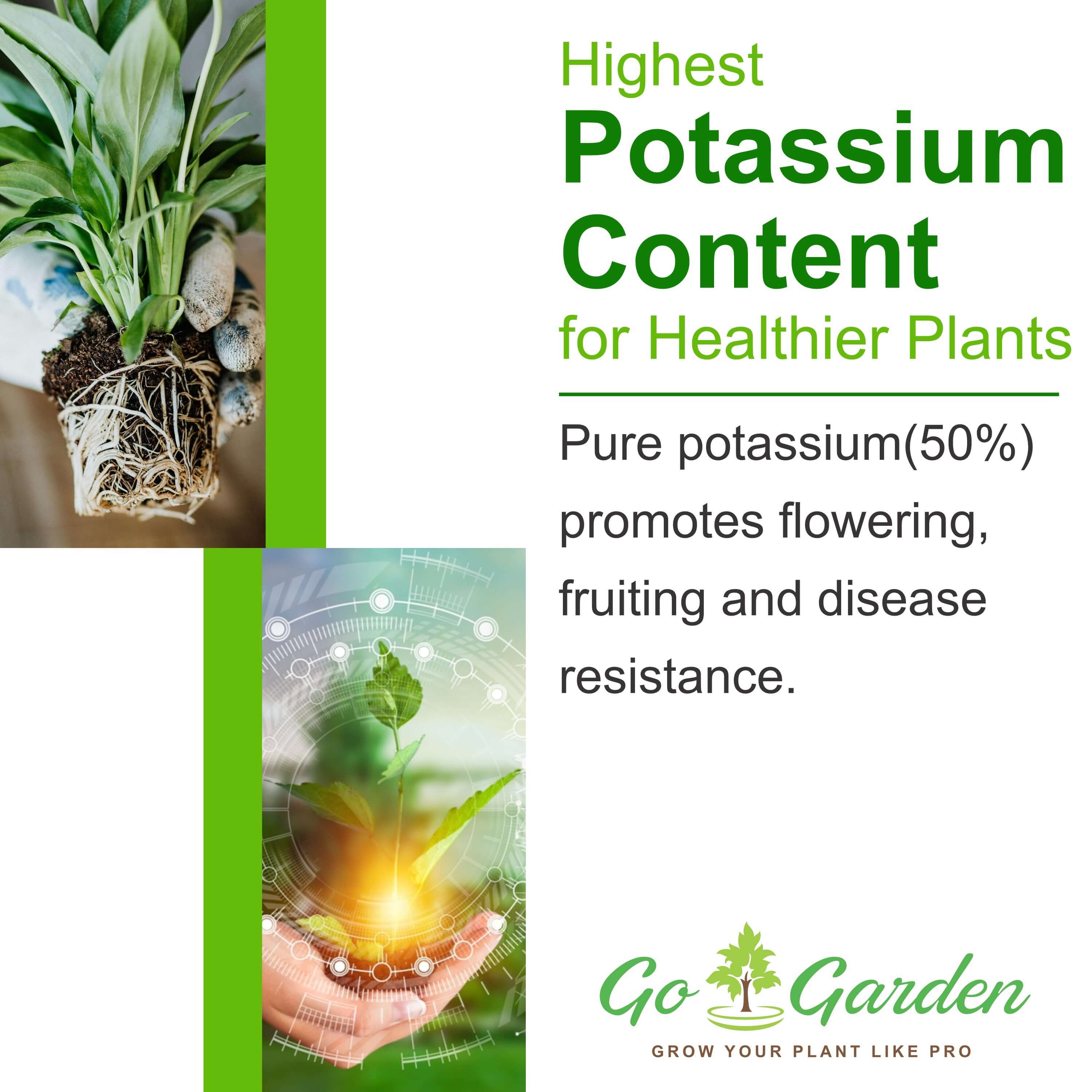 Balanced Plant Nutrition