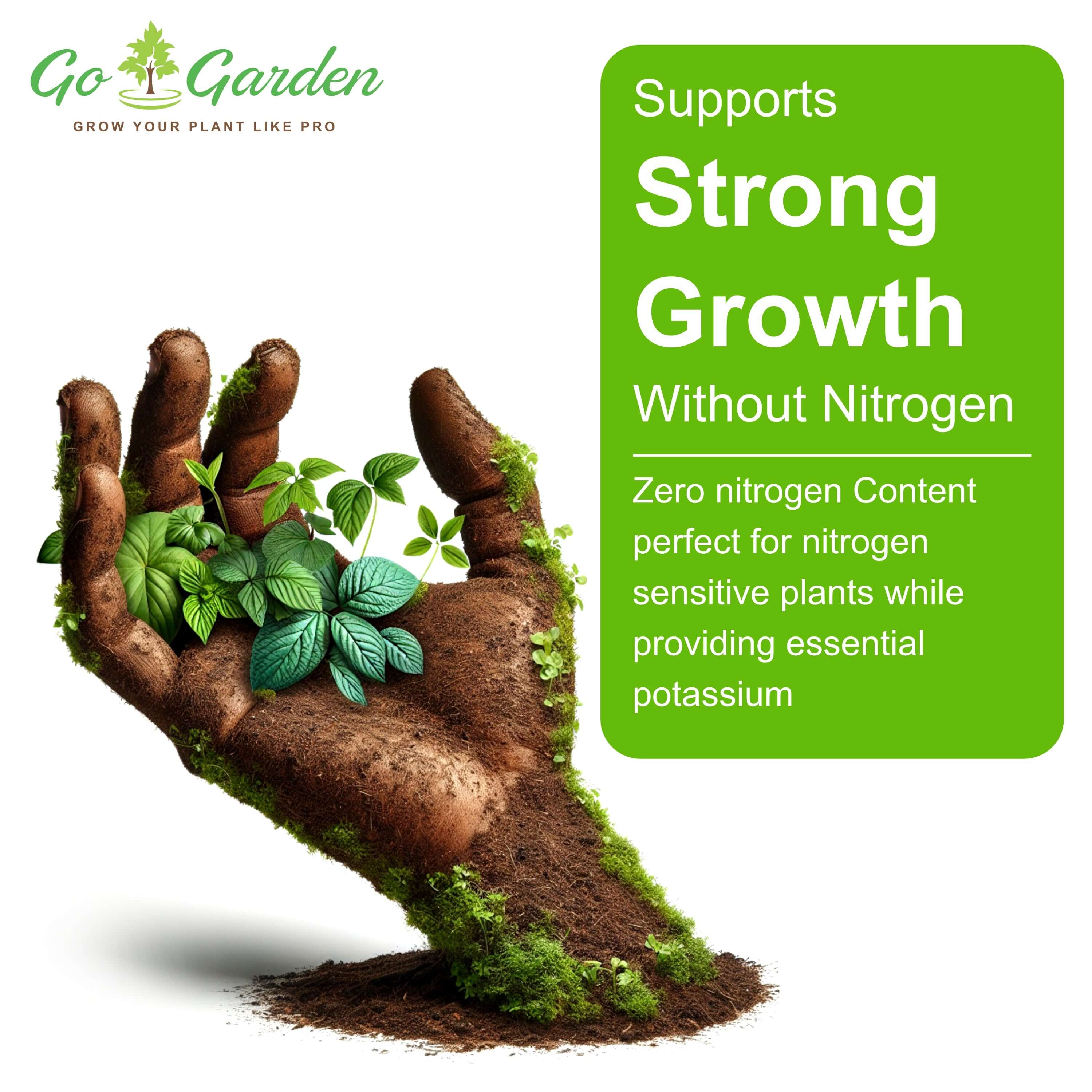 Easy-to-Use Plant Food