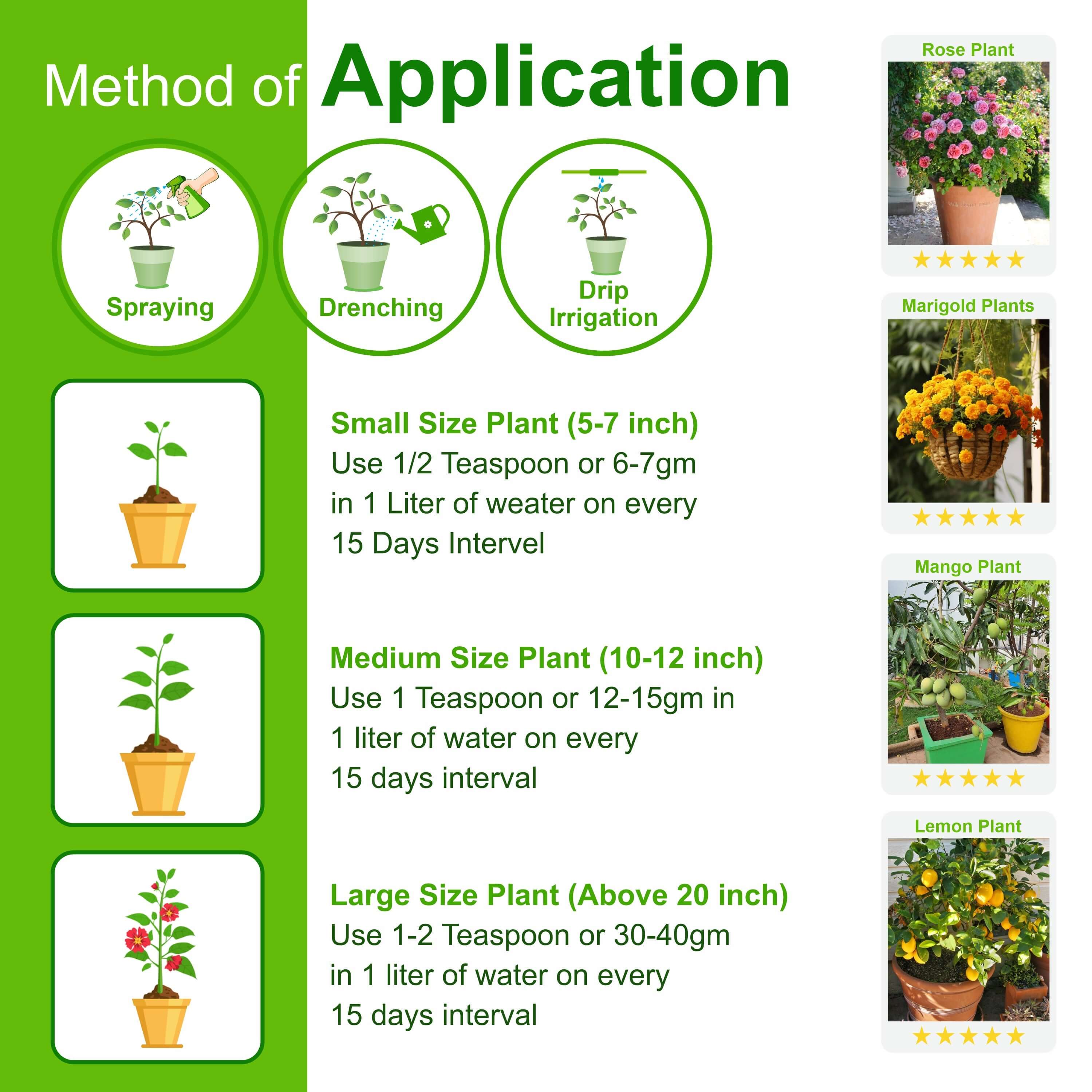 Strong Roots & Green Leaves