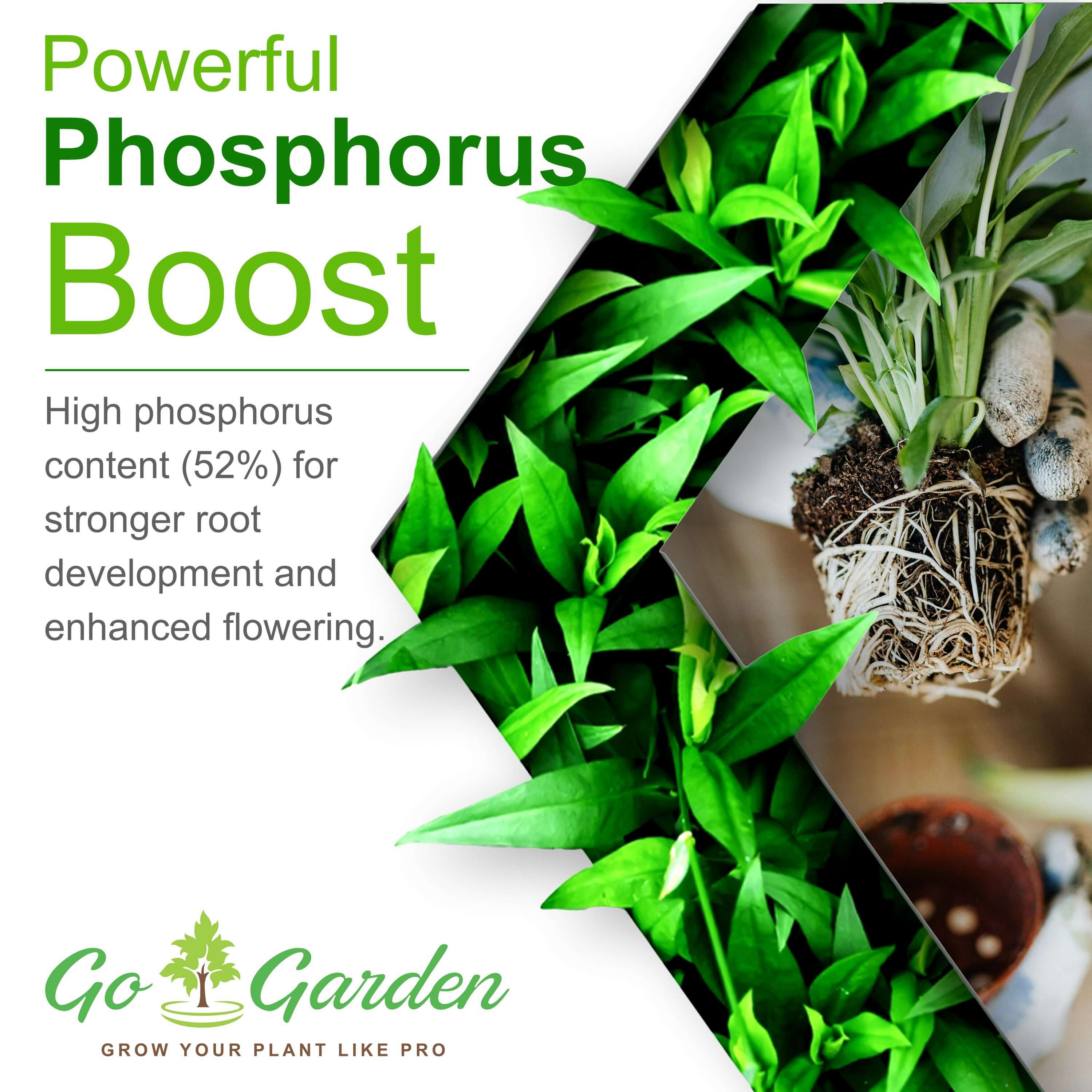 Boost Flower & Fruit Growth