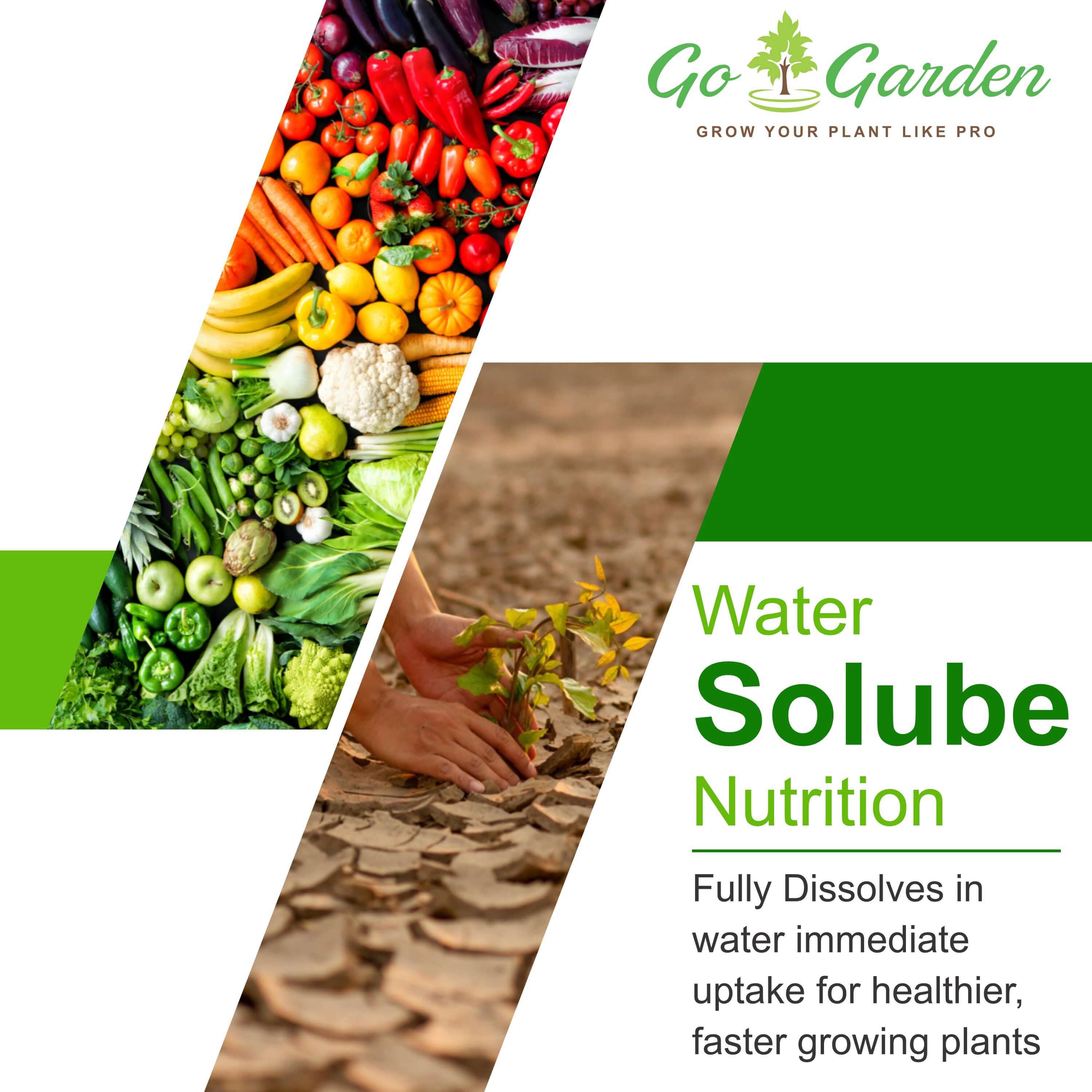 NPK Fertilizers for growth