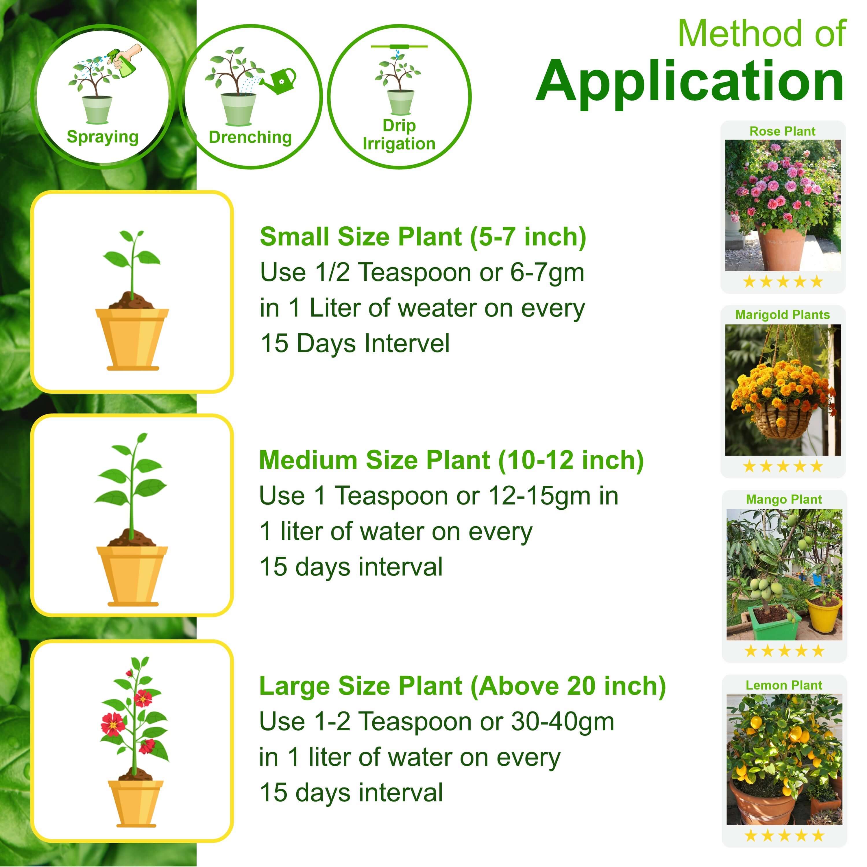 NPK Fertilizers for plants