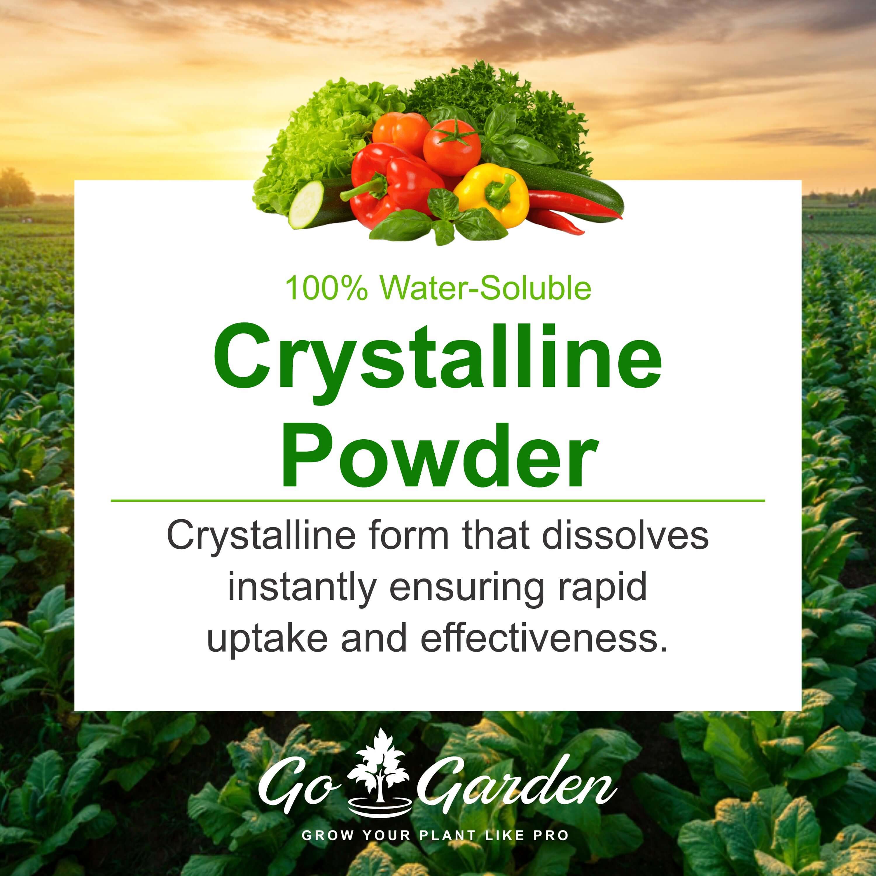 Potassium Nitrate KNO3 NPK 13-00-45 Fertilizer