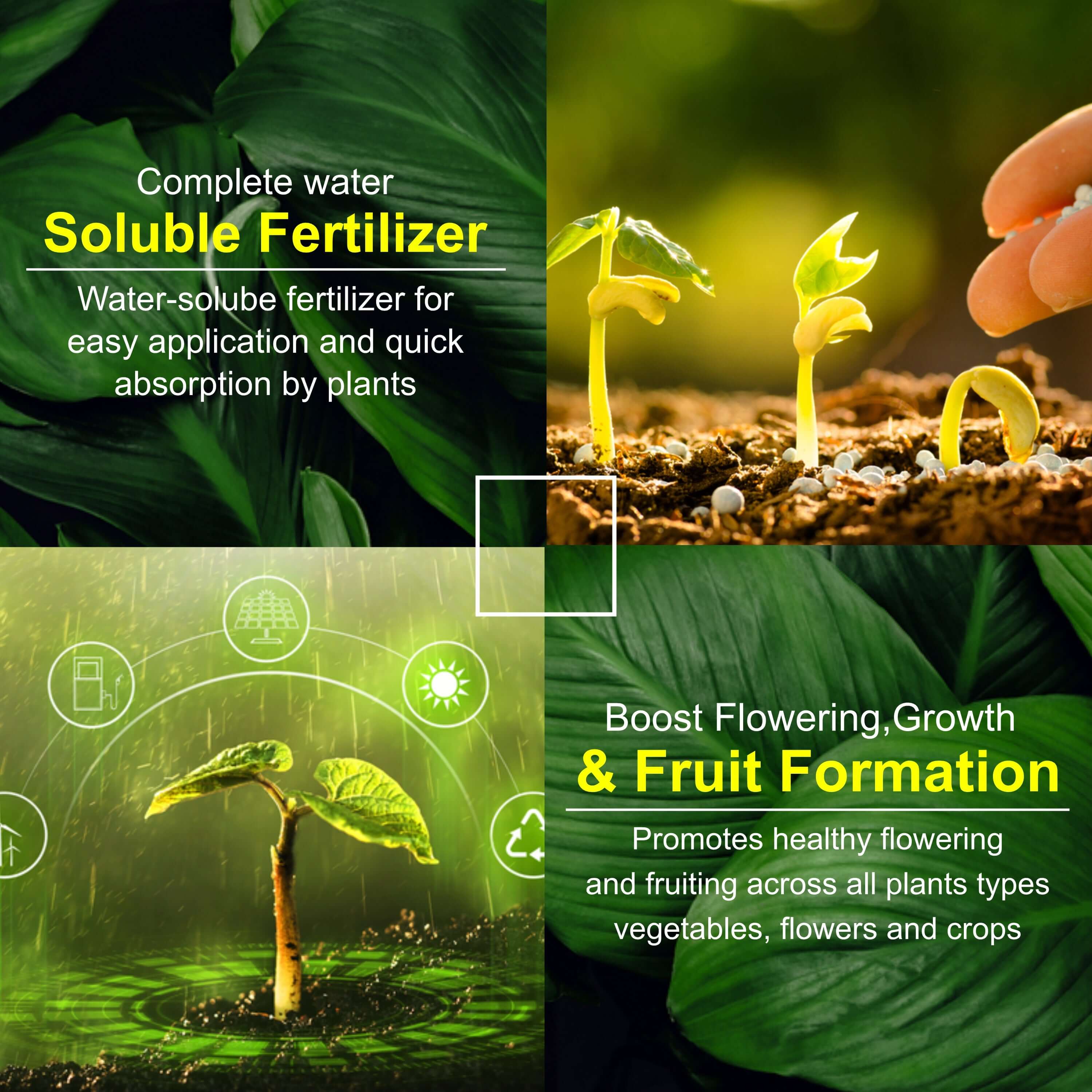 Potassium Nitrate KNO3 NPK 13-00-45 Fertilizer