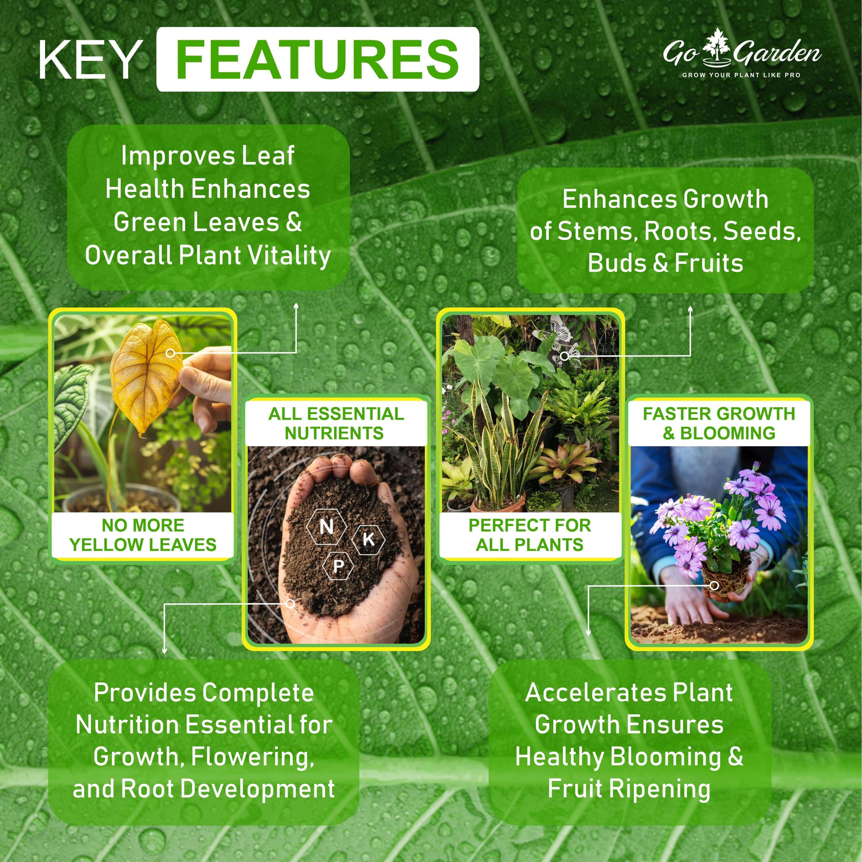 Go Garden NPK 19 19 19 Fertilizer for Plants and Gardening Purpose (450G)