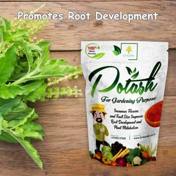 Muriate of Potash Fertilizer MOP Fertilizer All Purpose for Plant