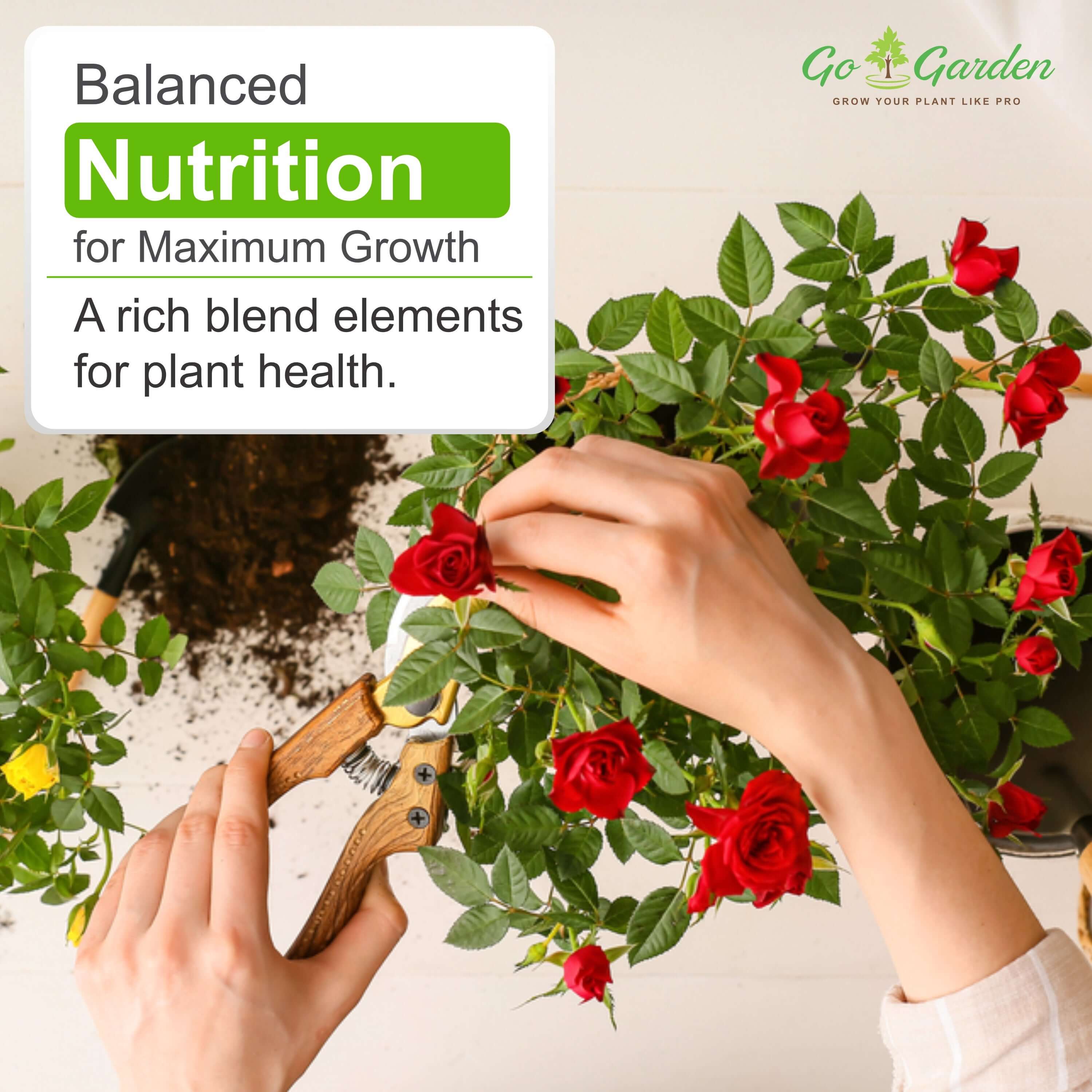 Rose King complete package for your rose plant