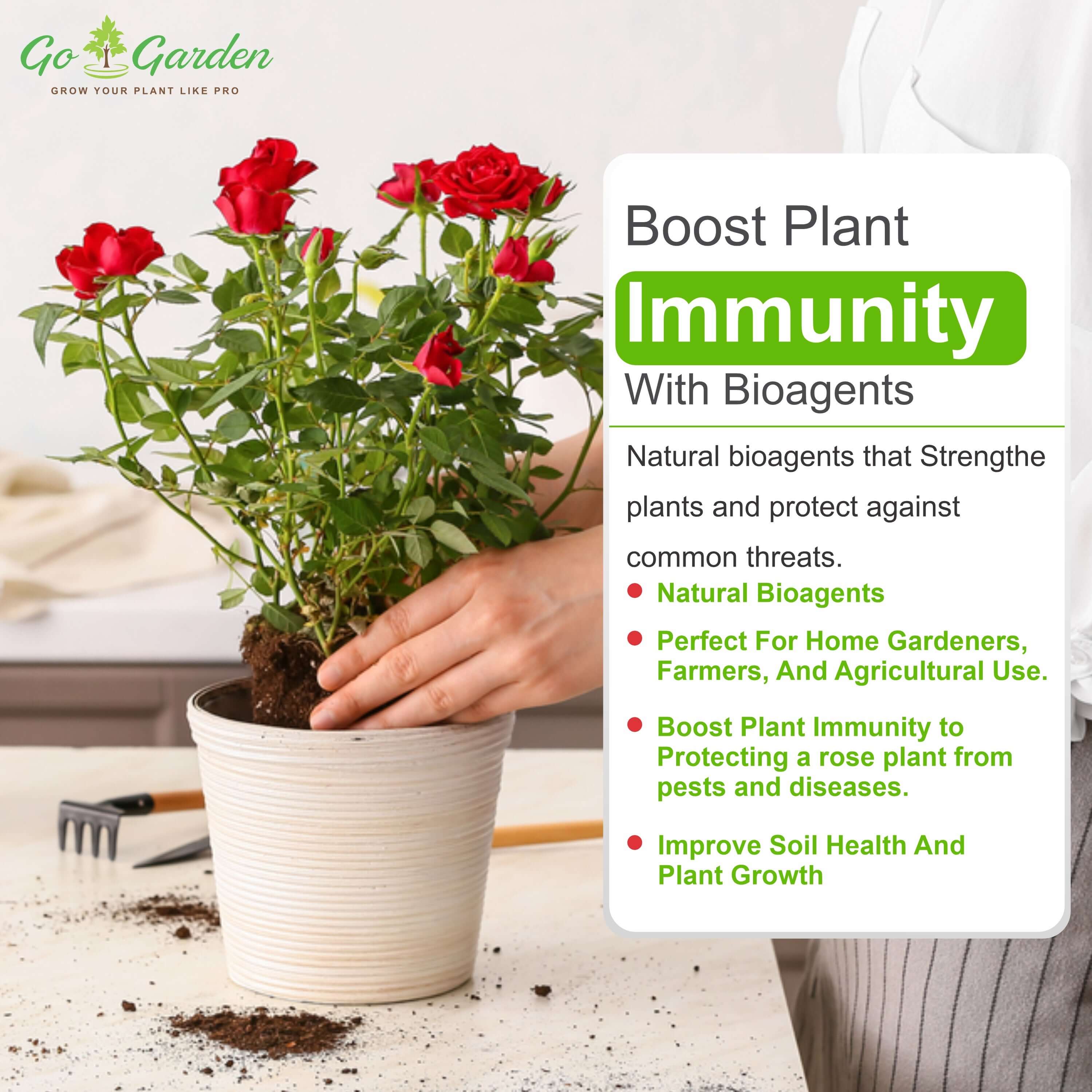 Rose King complete package for your rose plant