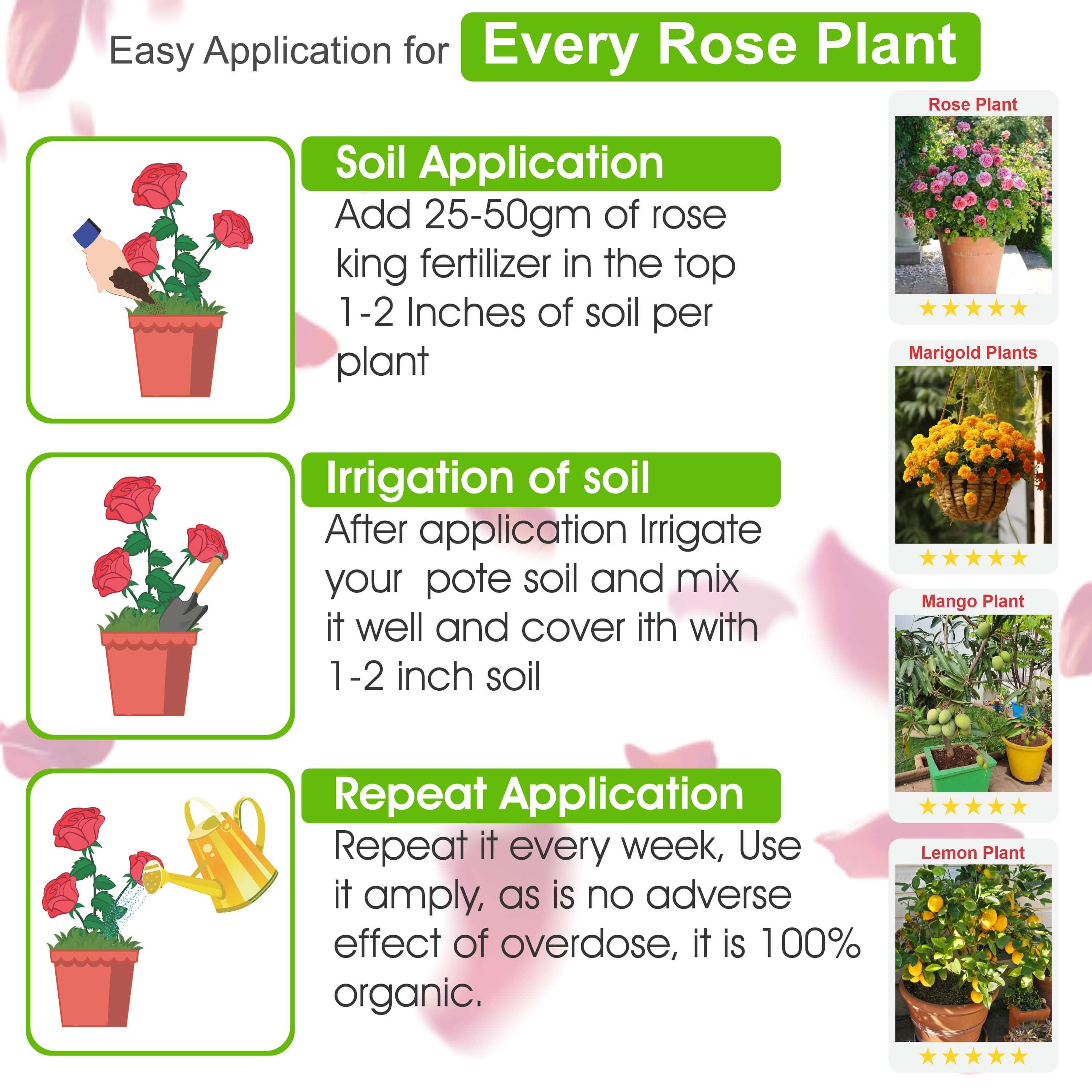 Rose King complete package for your rose plant