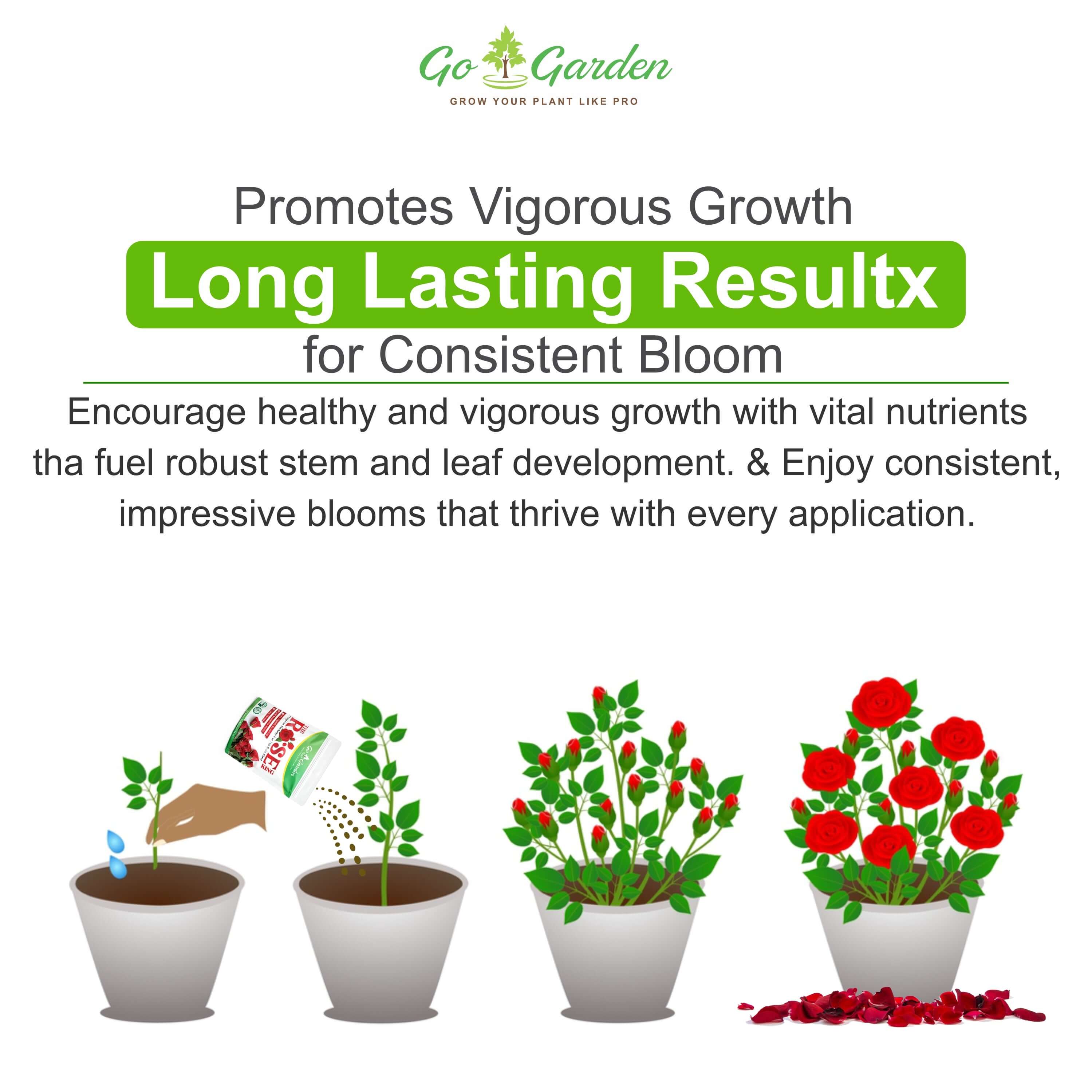 Rose King complete package for your rose plant