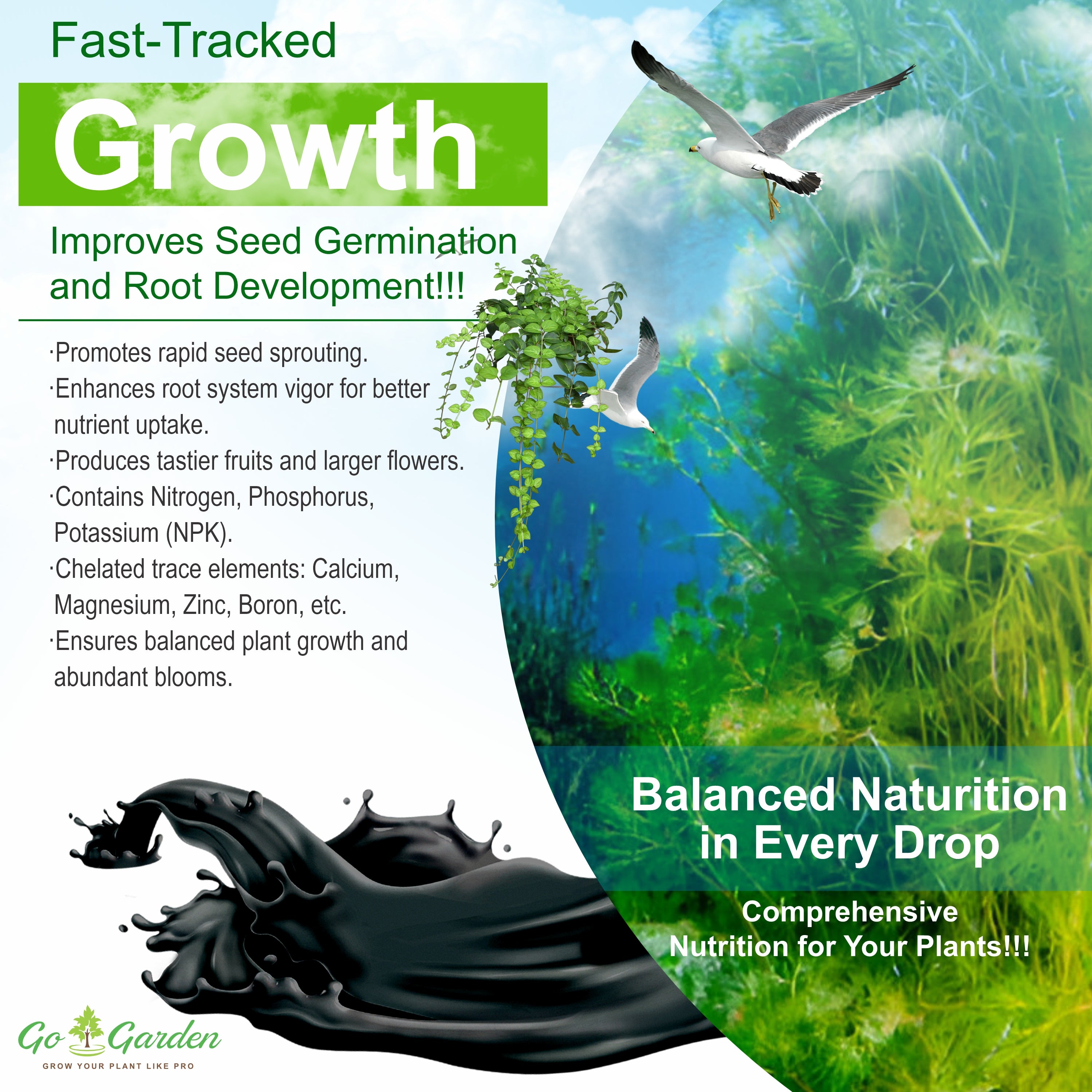 Seaweed Fertilizer for Plants Liquid Concentrate 100% Organic Fertilizer for Plant and Garden Purpose 250ML