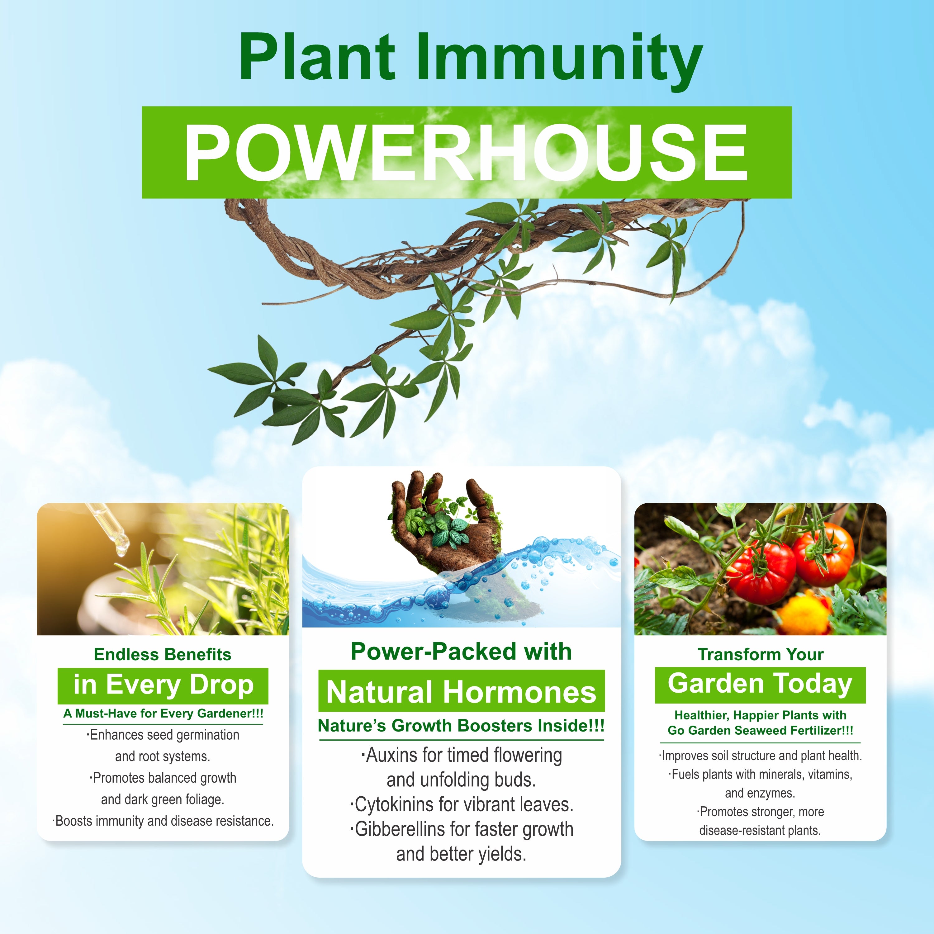 Seaweed Fertilizer for Plants Liquid Concentrate 100% Organic Fertilizer for Plant and Garden Purpose 250ML