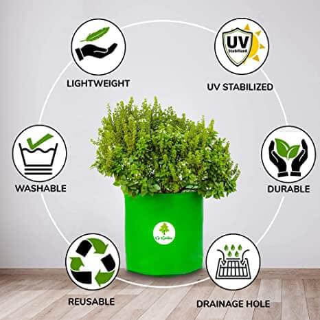Go Garden HDPE  Gardening Green Grow Bag for Vegetables Fruits Flower, Pack of 10 Grow Bag